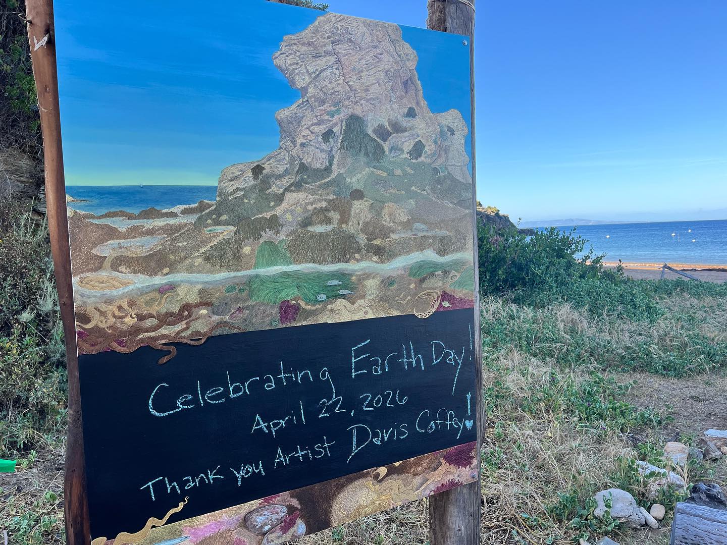 We are wrapping up Earth Week and week 9 here at CELP☀️We had wonderful groups from Desert Star, Desert Marigold, Redwood Day School, and the Grauer School. They removed many invasive species, planted native species gifted by the Catalina Conservancy, and contributed so much to our garden.
This Earth Day, we were able to further celebrate with a ribbon cutting ceremony for our new intertidal zone mural, painted by long time CELP instructor Davis Coffey. So much gratitude to Davis for his beautiful artwork!