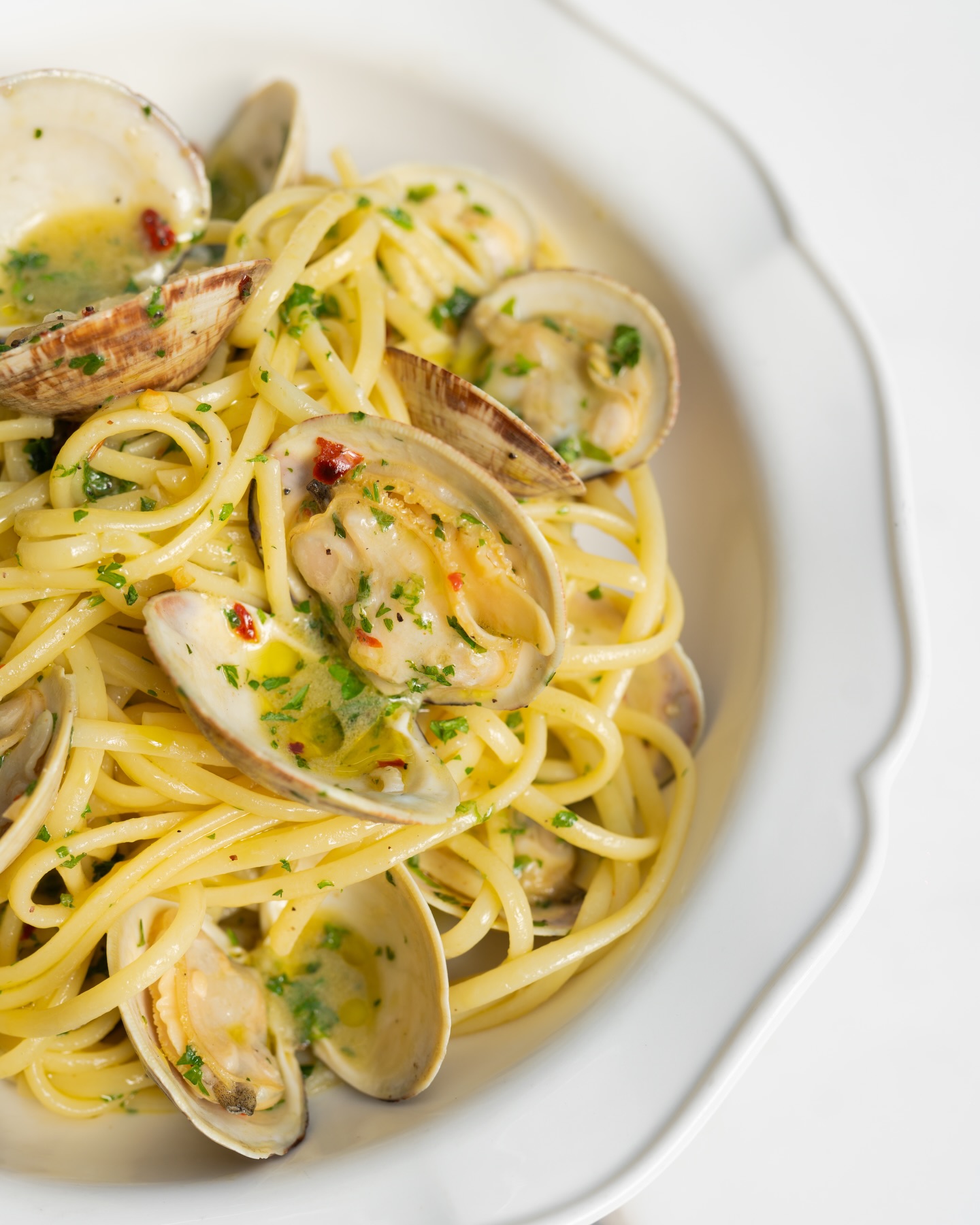 LINGUINE ALLE VONGOLE 🌶️
Linguine, clams, white wine, parsley, chili flakes, olive oil
Fuori Menu special available for the next 2 weeks 🤌🏼
📍NODO Junction, 2885 Dundas St W
📍NODO Hillcrest, 794 St Clair Ave W
📍NODO Leslieville, 1192 Queen St E
📍NODO Liberty, 120 Lynn Williams St