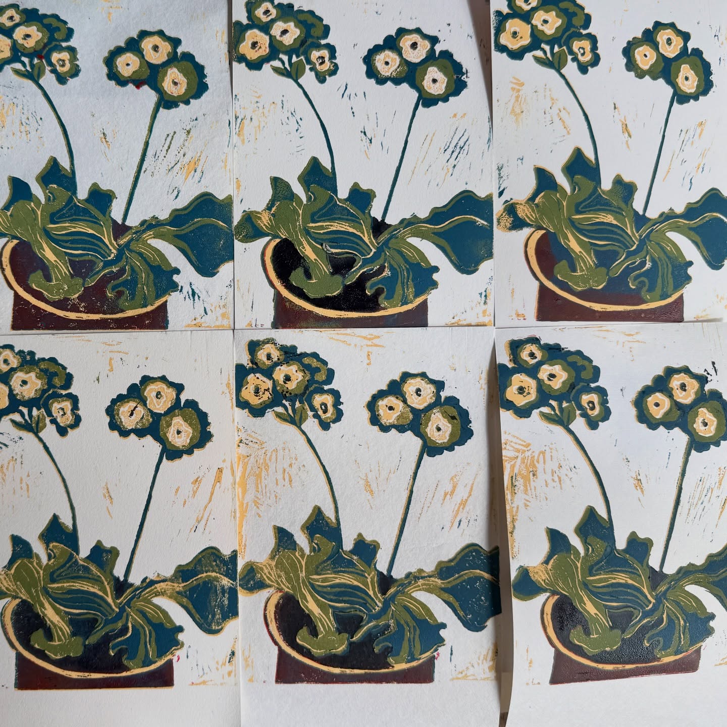 UPDATE!! The 7 names from the 🎩 are @threepronged
@jausel
@tigressheadingout
@debbiefife
@mein_wintergartenatelier
@lhall1251
@sarahsnosh
Message me your address and I’ll post your print this week ✉️ Bear’s Ear Auricula. Reduction linoprint. Great learning curve as I’ve not done one before! Edition of 7 offered in support of @oneofmanycharity the wonderful initiative set up by @johnapedder . If you’d like one please comment and I’ll pic 7 names out of a hat on Sunday April 12th. As ever, if you’re chosen you’ll receive a print and then you make a donation to the charity of your choice. #oneofmany #givemoneydogood #helpsomeone #artforcharity #printmaking