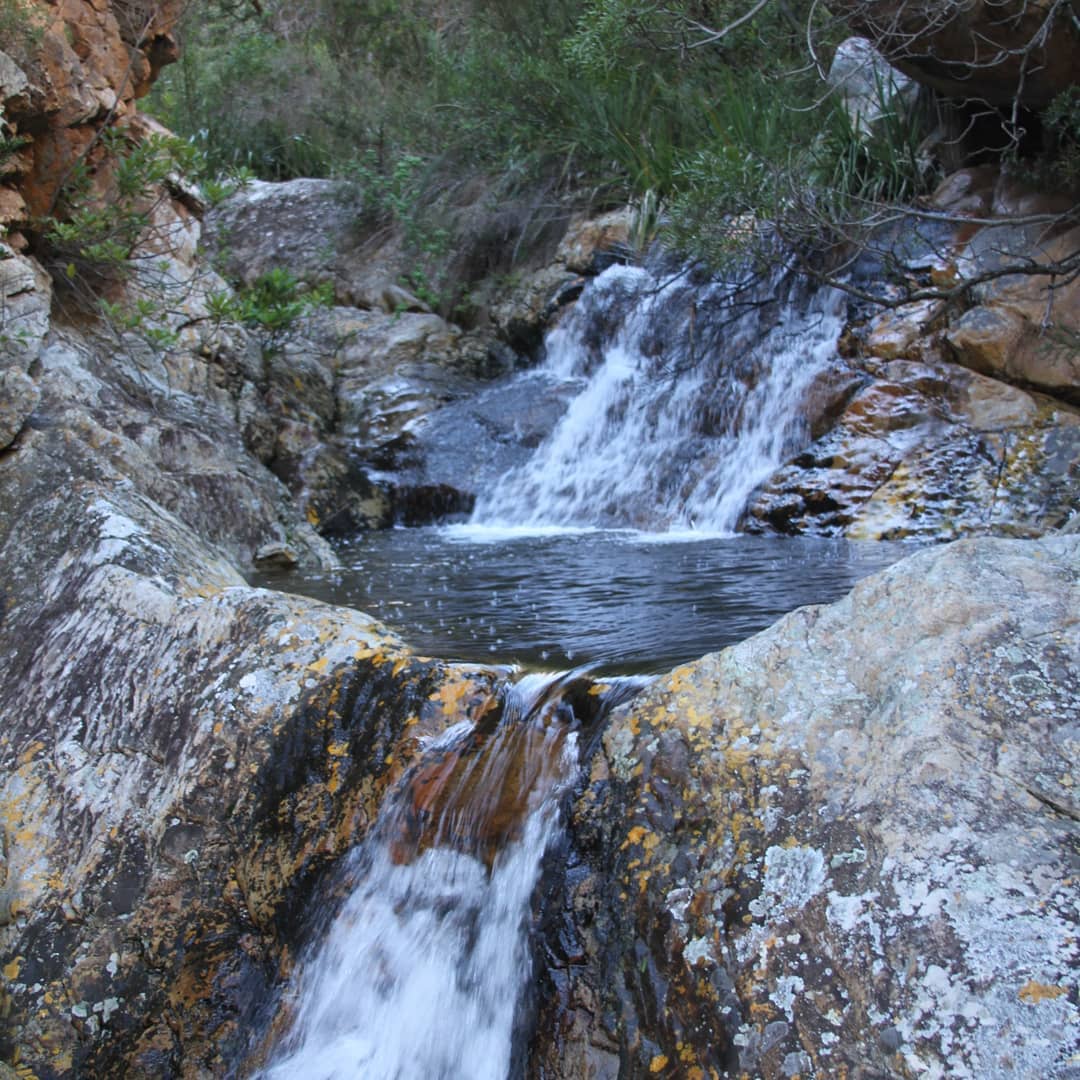 What beautiful sights will you come across while exploring @naturesvoice_ec ?
#nature #explore #adventure #beautifulsights #naturelovers #river #wildlife #mountainscape