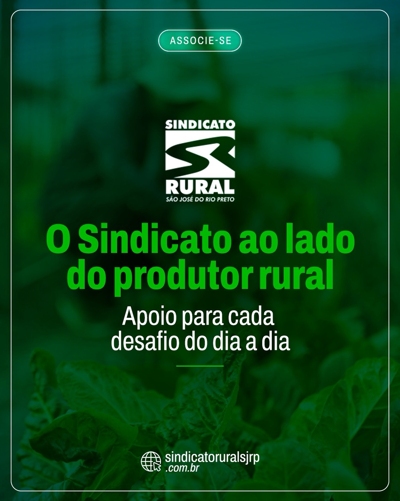 No campo, cada decisão conta, e é por isso que o produtor não precisa caminhar sozinho.
O Sindicato Rural de São José do Rio Preto está aqui para orientar, facilitar e fortalecer o seu trabalho, oferecendo apoio em questões jurídicas, orientações administrativas, cursos gratuitos, parcerias de saúde e muito mais.
Quando o produtor tem suporte, o campo avança com mais segurança e tranquilidade.
Conte com a gente sempre que precisar!
Telefone: (17) 3232-5115⠀
Site: www.sindicatoruralsjrp.com.br
#SindicatoRuralSJRioPreto #Agricultor #AgroNegócio #ProdutorRural #SãoJoséDoRioPreto