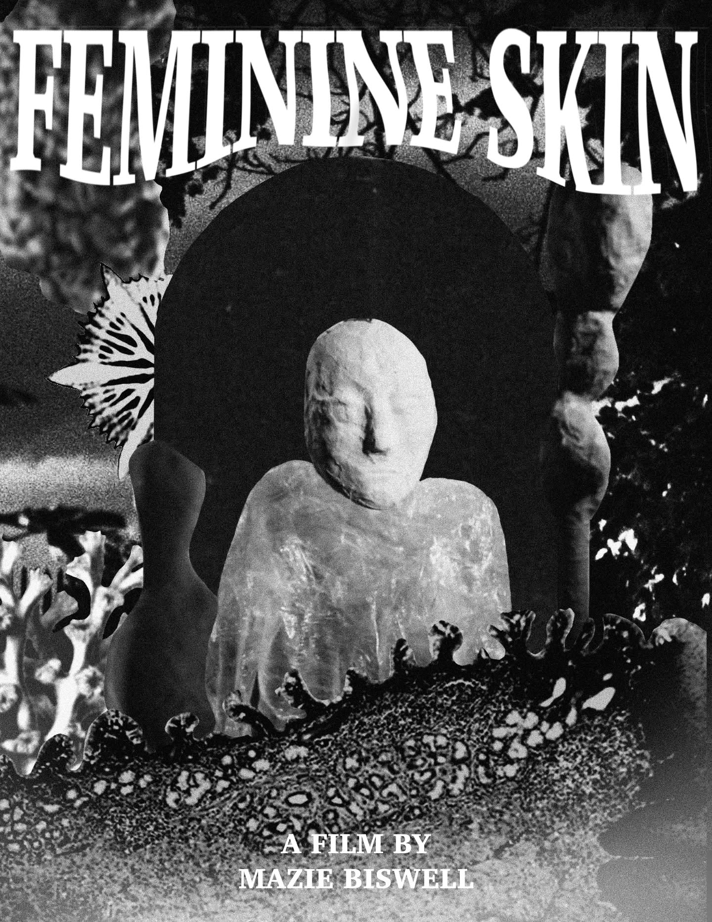 FEMININE SKIN a stop motion animated film available for public consumption this summer!