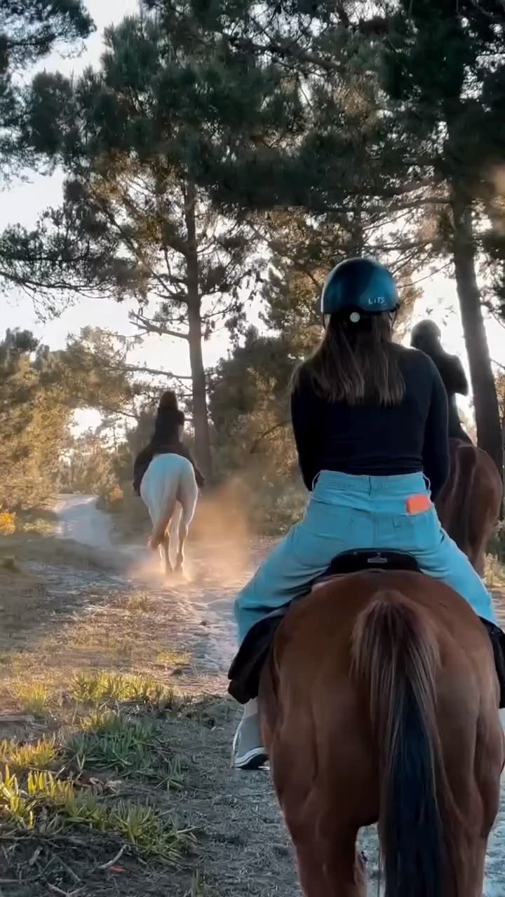 From sunrise rides to sunset picnics, from quiet beach moments to adrenaline-packed gallops, every ride is a new adventure. Our riders, horses, and trails make every day unforgettable — and we capture it all just for you.
Whether you’re a beginner or advanced, there’s a place for you here. Come feel the wind, the freedom, and the joy of riding… and maybe even join us on the next adventure!
#litshorses #praiadomeco #lisbonadventures #horseridingportugal #passeioacavalo