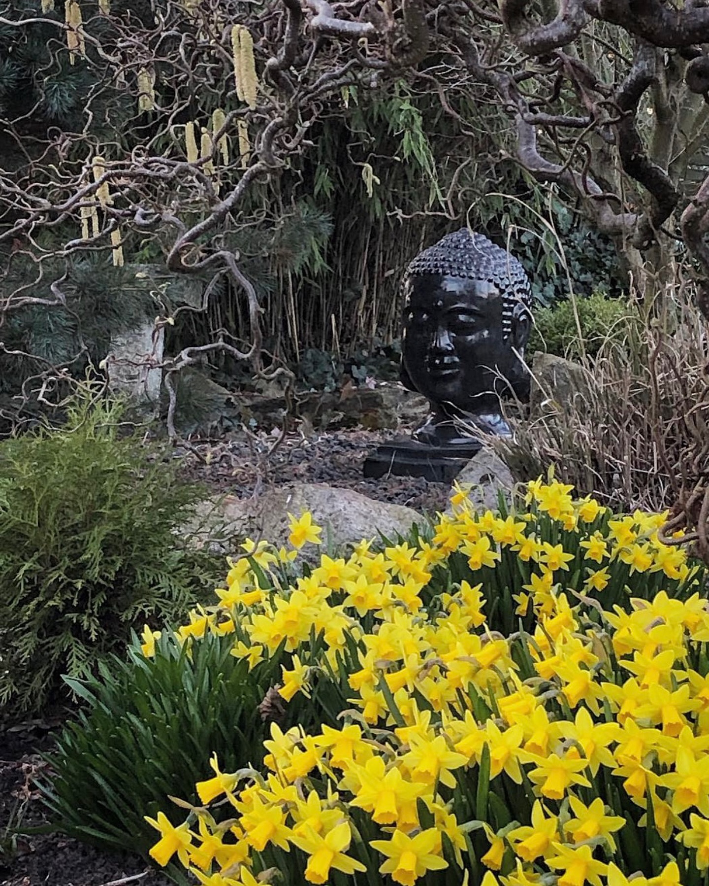 Med en begagnad bild från några år tillbaka vill jag önska er en fin och skön påsk. 💛
I år är påsken tidig och med en lång och kall vinter har påskliljorna inte kommit så här långt hos oss som de hade gjort då.
Njut av helgen!💛
#påsk #påskliljor #daffodils #påskblommor #narcissus