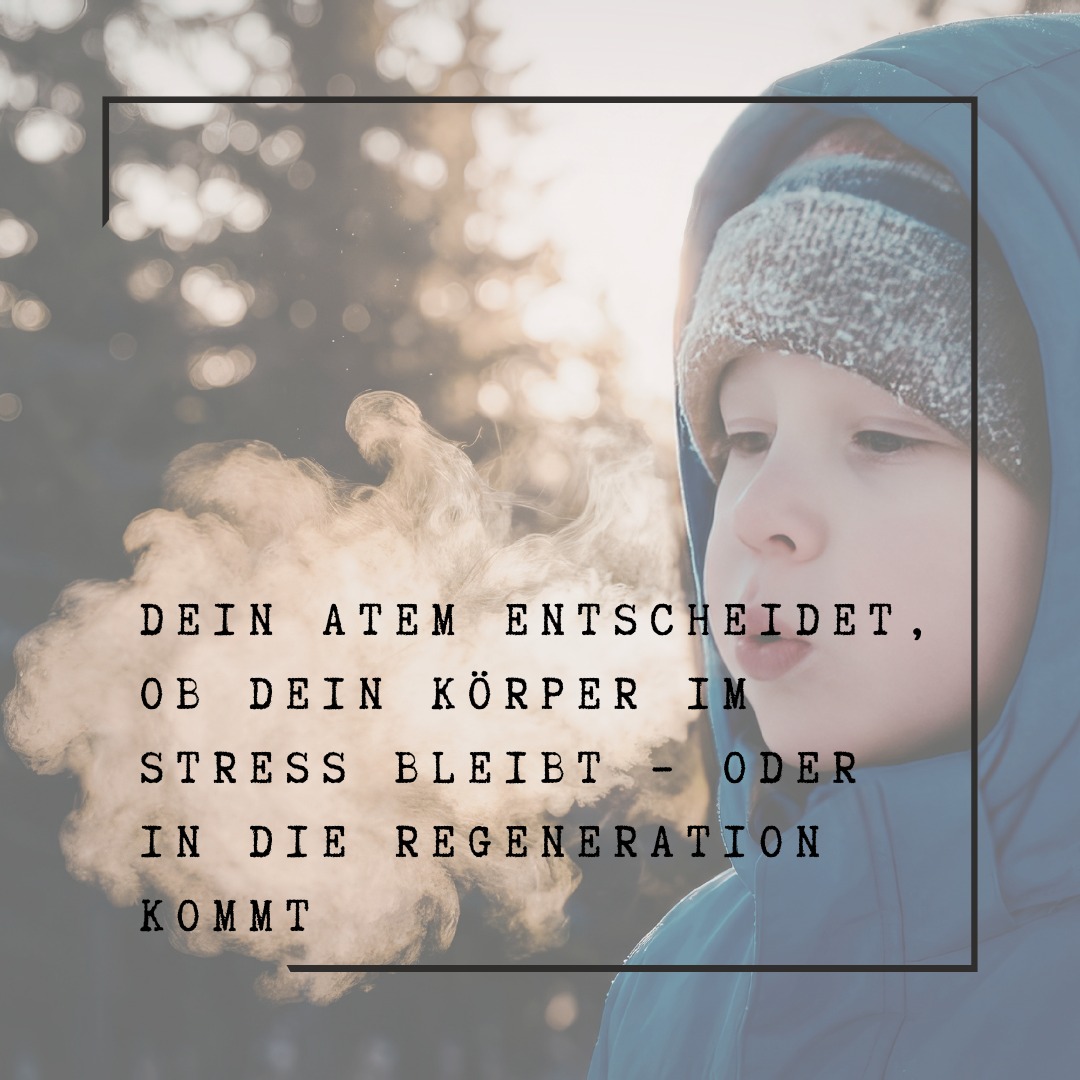 Dein Atem entscheidet, ob dein Körper im Stress bleibt – oder in die Regeneration kommt
Ein erwachsener Mensch atmet etwa 12 Mal pro Minute – ganz automatisch.
Das Atemzentrum arbeitet Tag und Nacht, damit unsere Zellen mit Sauerstoff versorgt werden.
Ohne Sauerstoff beginnen bereits nach wenigen Minuten erste Hirnzellen abzusterben.
Doch unser Atem kann mehr als nur überleben sichern.
Die Atemmuskulatur reagiert sehr schnell auf Stress.
Wird es hektisch, verändert sich die Atmung sofort:
flach
schnell
angespannt
Der Körper schaltet in den Modus Kampf oder Flucht.
Bleibt dieser Zustand über längere Zeit bestehen, gerät der Organismus in eine dauerhafte Belastung:
• weniger Sauerstoffaufnahme
• veränderte Kohlendioxidabgabe
• erhöhte Muskelspannung
• reduzierte Regeneration
Eine Verbrennung braucht Sauerstoff.
Fehlt Sauerstoff, erlischt das Feuer.
Chronischer Stress kann so sinnbildlich zu einem inneren „Ausbrennen“ führen.
Tiefe, ruhige Atemzüge senden hingegen ein klares Signal an das Nervensystem.
Der Körper reguliert den Hormonhaushalt neu.
Spannung kann sich lösen.
Ein ruhiger Atem unterstützt:
• mehr Stabilität
• mehr Energie
• mehr innere Ruhe
• mehr Belastbarkeit
Wer bewusst atmet, unterstützt die natürlichen Regulationsprozesse des Körpers.
#atem #atmung #stressregulation #nervensystem #gesundheit #achtsamkeit #resilienz #mentalhealth #stressmanagement #praevention #ganzheitlich #naturheilkunde #tcm #atemtherapie #regeneration #burnoutpraevention #energie #balance #selbstfuersorge #wohlbefinden #achtsamleben #gesundbleiben #holistichealth #mindbody #innereruhe #stressabbau #gesundheitswissen #aarau #naturheilpraktiker #worklifebalance