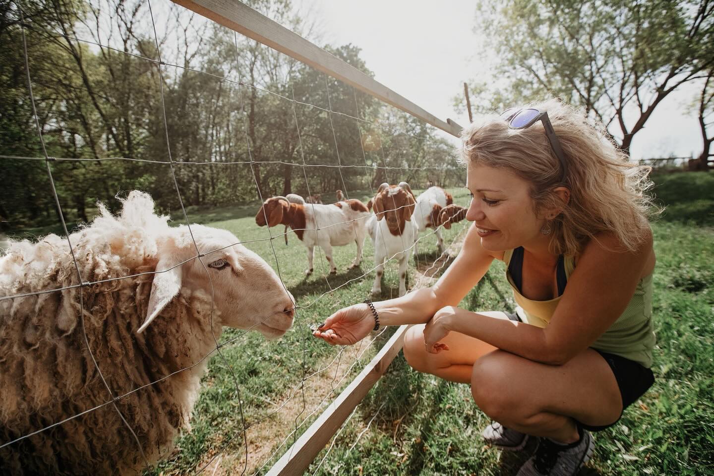 🌱 Krajina se pomalu probouzí ze zimního spánku. Pole se znovu nadechují a nás jako každé jaro čeká spousta práce.
Na naší farmě v Ledcích u Slaného pěstujeme bylinky, zeleninu i ovoce, které pak využíváme v bistrech a kavárnách Mezi řádky a v pekárně U Dvou rohlíků. O zvířata i rostliny se u nás starají také lidé s hendikepem – stejně jako ve všech našich podnicích. 💚
Abychom mohli sezónu zvládnout, potřebujeme:
🐑 vybudovat novou ohradu pro ovce
🐔 opravit oplocení pro slepice
🌾 postavit přístřešek na pastvě
Pomůžete nám připravit farmu na novou sezónu? 🙏
👉 Odkaz v biu.
Děkujeme za vaši podporu!
#Etincelle #farma #darujme #socialnipodnik #pomahame
