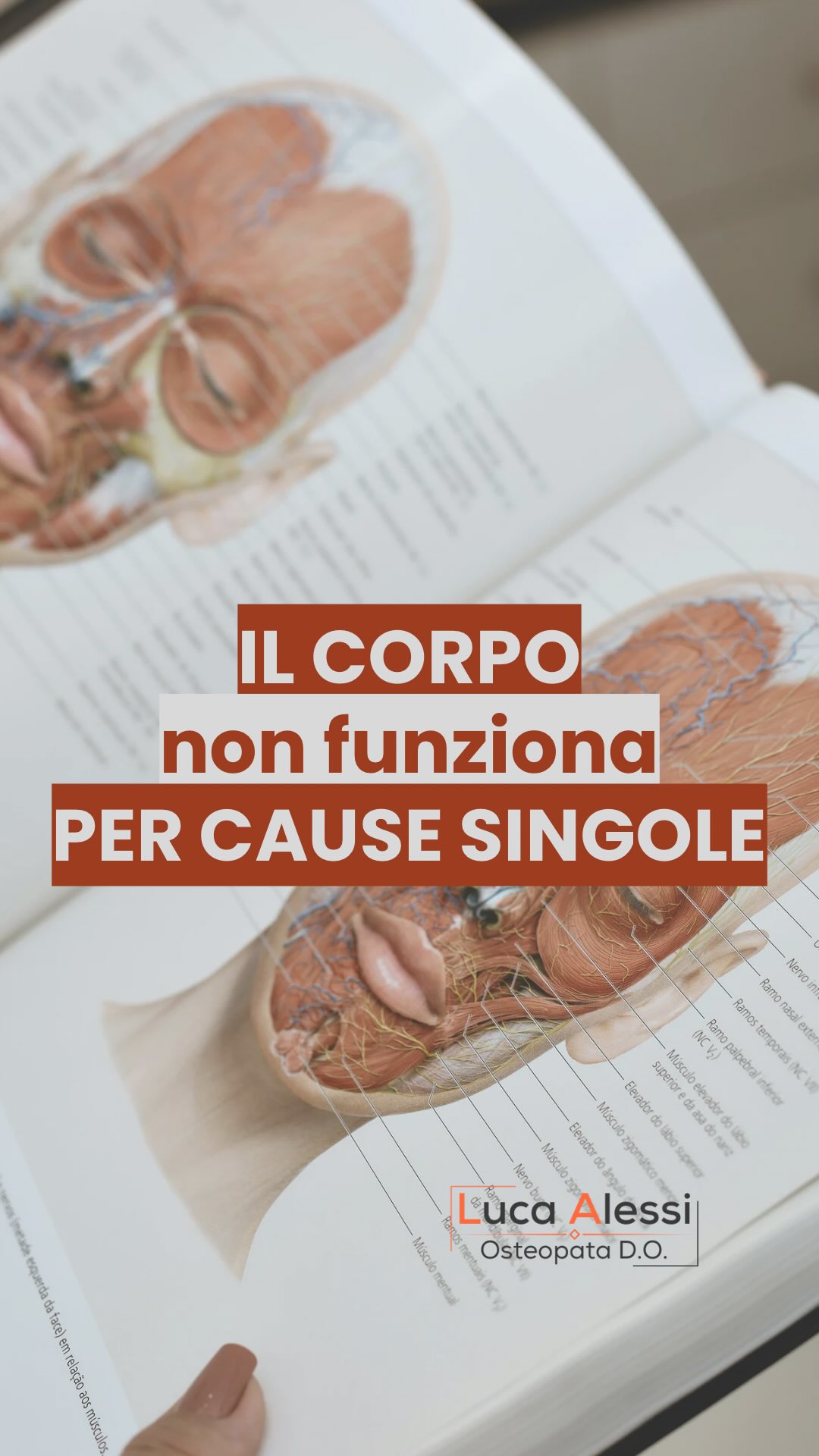 Spiegazioni troppo semplici funzionano bene…
solo perché sono facili da capire.
“Sei rigido”
“Sei debole”
“Sei stato seduto troppo”
Sono frasi comode.
Ma il corpo non funziona così.
il dolore è il risultato di interazioni complesse, non di una singola causa.
Carico, qualità del movimento, adattamenti, storia clinica, contesto.
È un sistema.
E i sistemi non si spiegano in una frase.
Per questo trattare solo il sintomo,
o cercare una causa unica,
spesso non basta.
Serve capire il quadro completo.
📍 Roma – Prati (Piazza Cola di Rienzo)
Se vuoi capire cosa c’è davvero dietro il tuo dolore, prenota una valutazione.