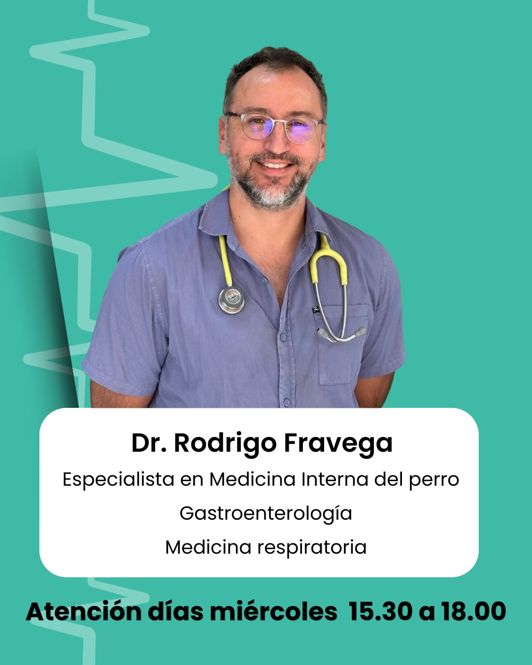 🎯 El doctor Rodrigo Fravega es altamente comprometido con sus pacientes, se enfoca en que obtengan los mejores tratamientos.
.
Reserva tu hora para los días miércoles, a partir de las 15.30.
.
#veterinaria
#perros
#ñuñoa
#perrosfelices
