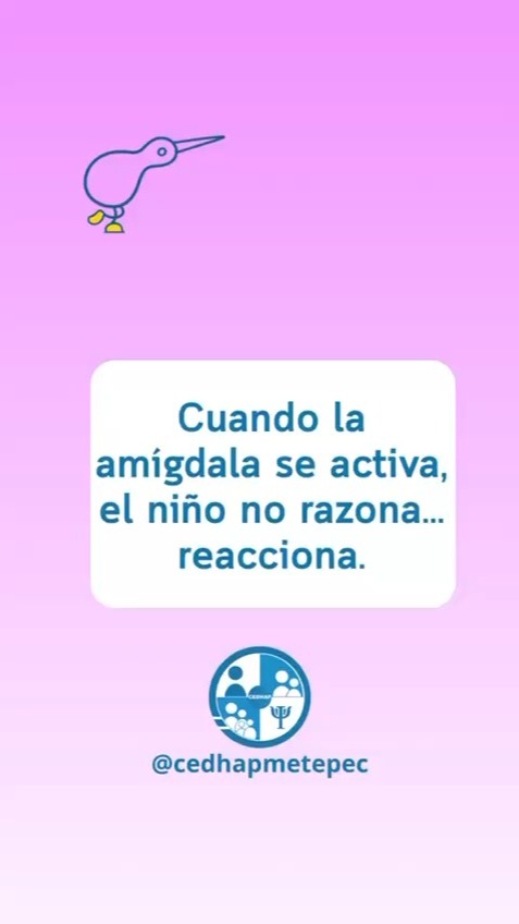 A veces creemos que es berrinche…
pero en realidad, su cerebro está en alerta
La amígdala en niños y adolescentes se activa fácilmente cuando sienten miedo, inseguridad o presión.
Por eso reaccionan, se irritan o se bloquean.
No es mala conducta.
Es ansiedad que necesita ser comprendida.
Acompañarlos es clave para que aprendan a regularse.
Agenda una cita y ayúdale a sentirse seguro otra vez.