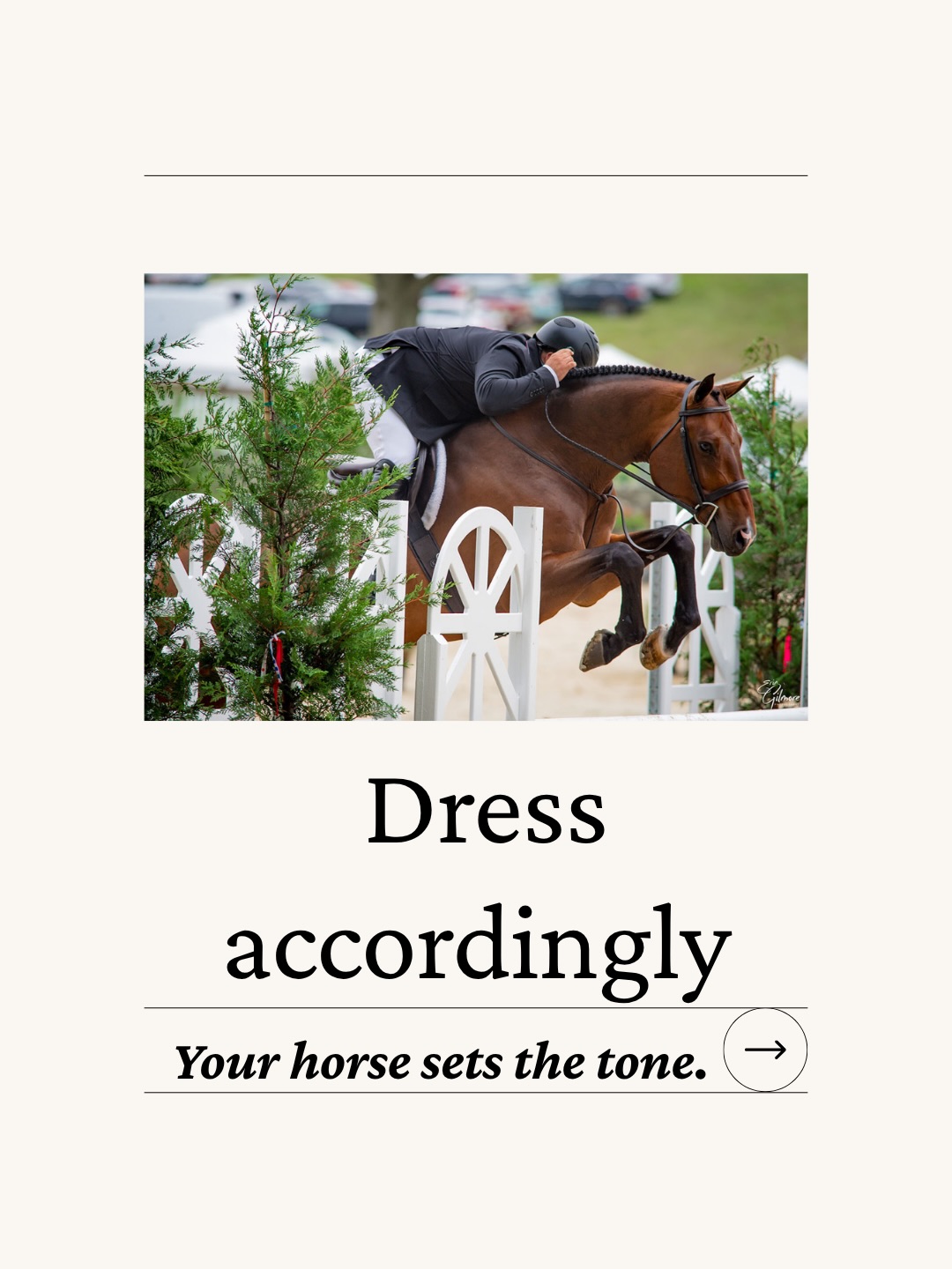 Chestnut 🔥 Bold.
Grey 🤍 Refined.
Dark Bay 🤎 Classic.
Style starts with your horse.
We just make it effortless.
We’re At Your Service so You Can Be at Your Best
Tag your horse’s vibe 👇