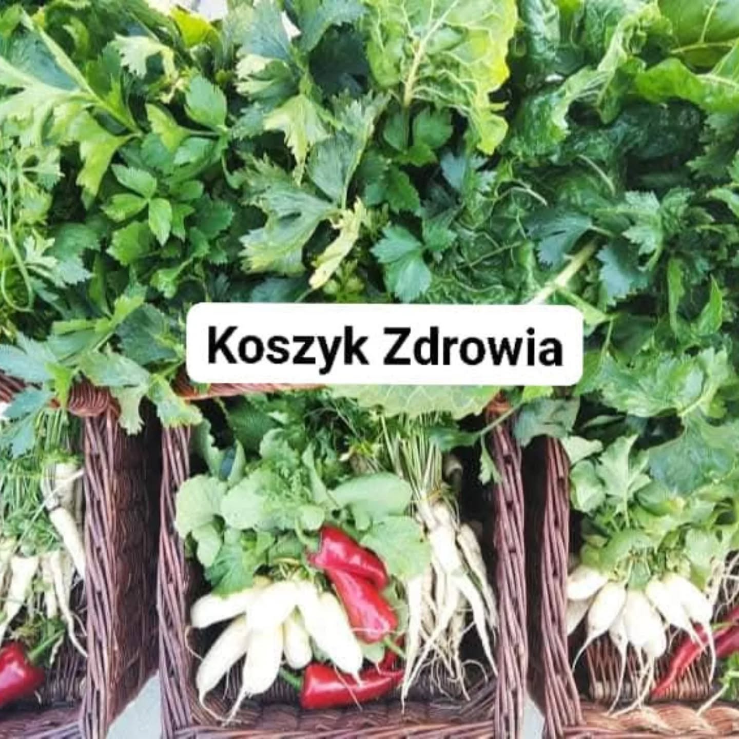 Wyobraź sobie... świeże warzywa z porannego zbioru, sezonowo, bez planowania, bez wysyłania zamówień,
bez presji czasu....
Z naszym abonamentem "KOSZYK-ZDROWIA" co tydzień możesz odbierać świeże, ekologiczne warzywa bez chemii, bez kompromisów, za to z pełnią smaku i wartości odżywczych 🥕🍅
Jedz lepiej, żyj zdrowiej – my zajmiemy się resztą!
👉 Dołącz do projektu KOSZYK-ZDROWIA i poczuj różnicę już od pierwszego koszyka!
Więcej szczegółowych informacji na naszej stronie
www.eko-zakatek.com.pl
#biowarzywa #wiemcojem #wiemcokupuje #jemsezonowo #prostozfarmy