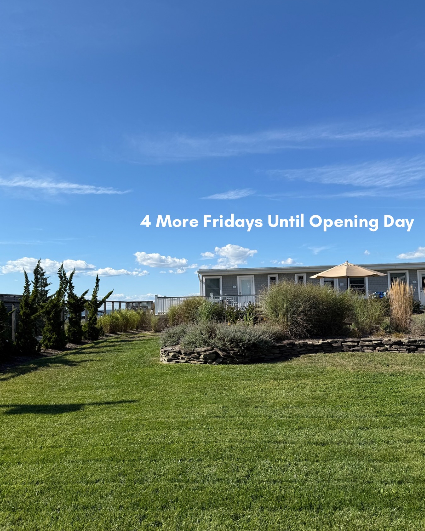 4 more Fridays until opening day… but who’s counting? 🌊☀️👙🌻