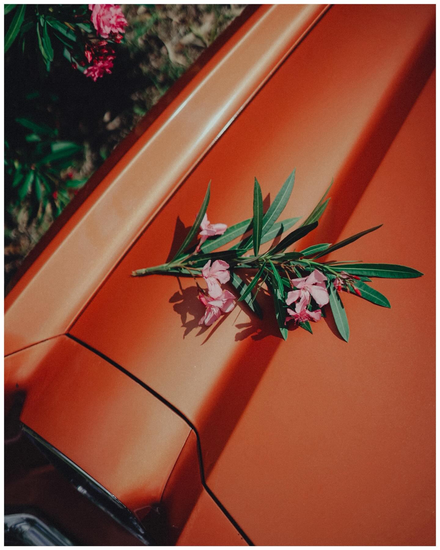 It’s April 🌺
New month.
New birth.
New growth.
Go out and get it 😎