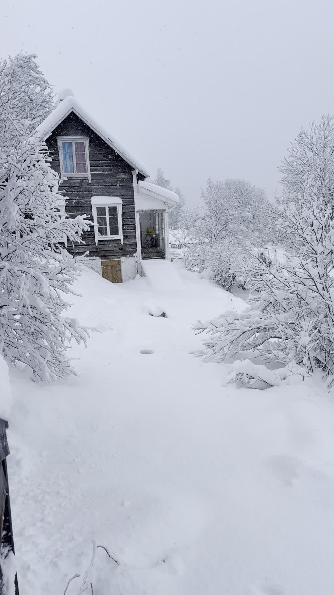 Våknet til en hvit verden - og det snør fremdeles☺️ Gjør godt for jorda når dette smelter🥰