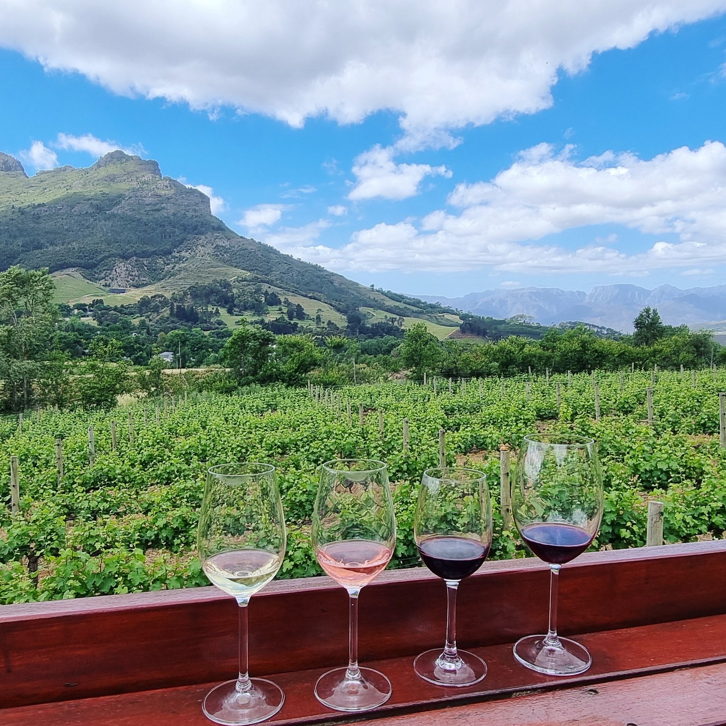 Journey through the Cape Winelands — from the historic estates of Paarl to the refined elegance of Stellenbosch and the timeless charm of Franschhoek. World‑class wine tasting, breathtaking landscapes, and luxury escapes await in every glass poured and every view admired. Safari4Africa curates these indulgent experiences, where sophistication meets the soul of Southern Africa. 🍷
#Safari4Africa #Safari
#LuxuryTravel #LuxurySafari #BespokeTravel #ExclusiveTravel
#SafariExperience #AfricanSafari #WildlifeTravel
#SouthernAfrica #ExploreAfrica #AfricaTravel #VisitAfrica #SafariAfrica
#LuxuryLodge #SafariLodge #LuxuryCamp #FiveStarTravel
#InstaTravel #TravelInspiration #LuxuryEscapes
#krugernationalpark
#capetown
#southafrica
#winelands
#stellenbosch