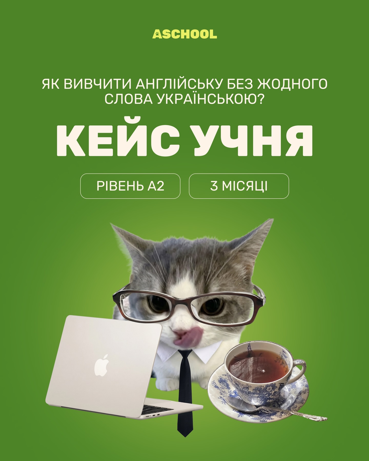 Сьогодні ділимось із вами кейсом, який став викликом не тільки для учня, а й для тічера.
Коли немає можливості перекласти слово рідною мовою, доводиться імпровізувати, щоб пояснити значення всіма іншими способами. Таким чином, тічерка вчилась разом з учнем 📚І зараз це вже абсолютно інший рівень включеності в мову і це дуже відчувається в спікінгу 🗣️
Хочеш впевнено почуватися за кордоном та в професії? Муркни нам у дірект і ми підберемо твій ідеальний формат! 🐾