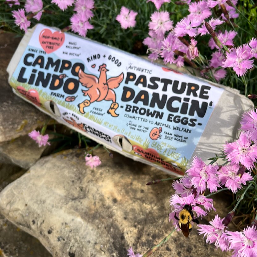 🐝🥚 A lil’ bumblebee peeking at our new carton mockup! … Aaaand maybe that deliciously fragrant dianthus flower. 🌸 It will still be some weeks before these are on shelves, but we’re closer than ever!! 🤩🙌 Soooo we invite you to wait anxiously with us in the meantime. 😆 Thank you, good people, for the solidarity! 💪