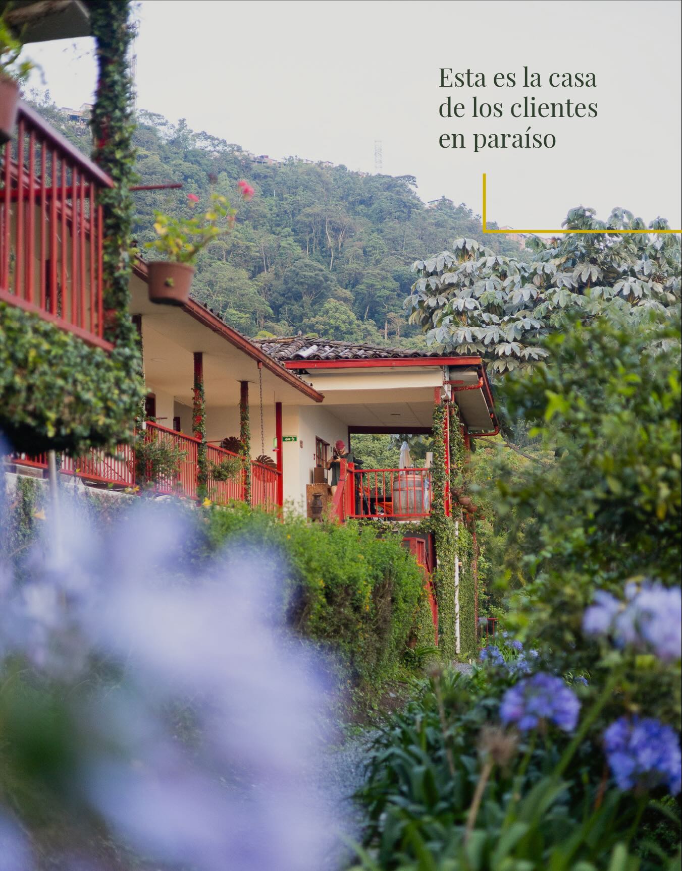 La casa de huéspedes y la casa de los residentes permanentes, ambas reconstruidas y cuidadas por sus dueñas. 🏡🌳
ENG/
The guest house and the permanent residents’ house, both rebuilt and cared for by their owners. 🏡🌳
#birding #colombia🇨🇴 #pajareando #manizales