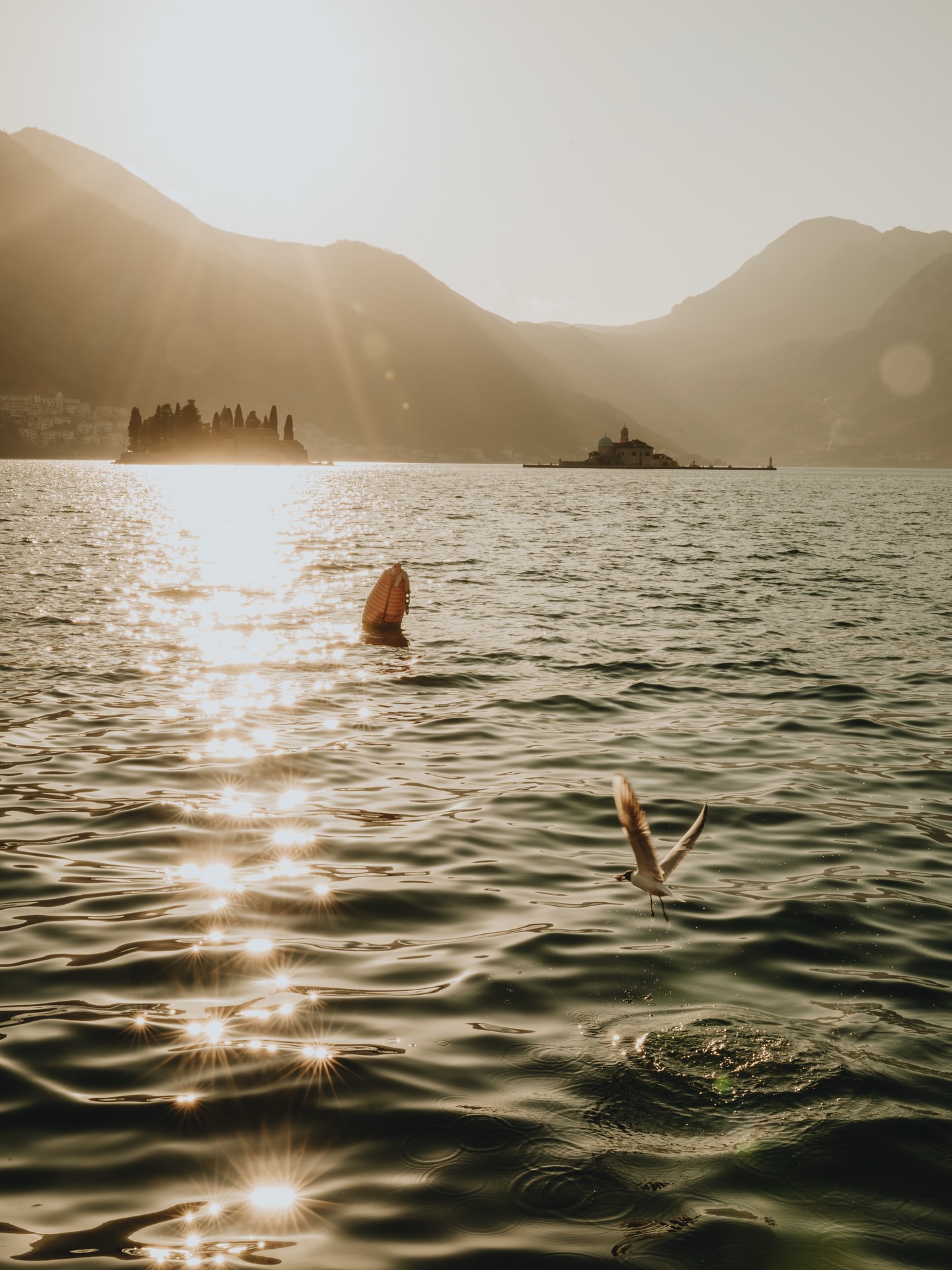 Nova serija fotografija dostupna je u shopu - a link naravno u opisu profila! 🤍
Hvala ovim modelima na spektakularnoj predstavi u najzlatniji zalazak.