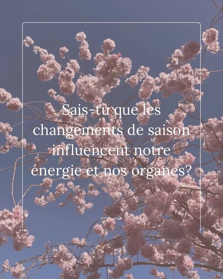 Les saisons changent et notre énergie avec 🌀
Voici de quoi accompagner cette transition en douceur et à ton rythme:
🌿 1h de yin yoga spécial printemps, avec accès illimité pendant 3 mois
🌿 1 playlist pour t’accompagner
🌿 1 ebook avec mes routines et conseils pour vivre pleinement et sereinement la saison
Prix doux: 20€
Commente PRINTEMPS et reçois toutes les infos 💌
#yinyogateacher #energievitale #yinyogafrance