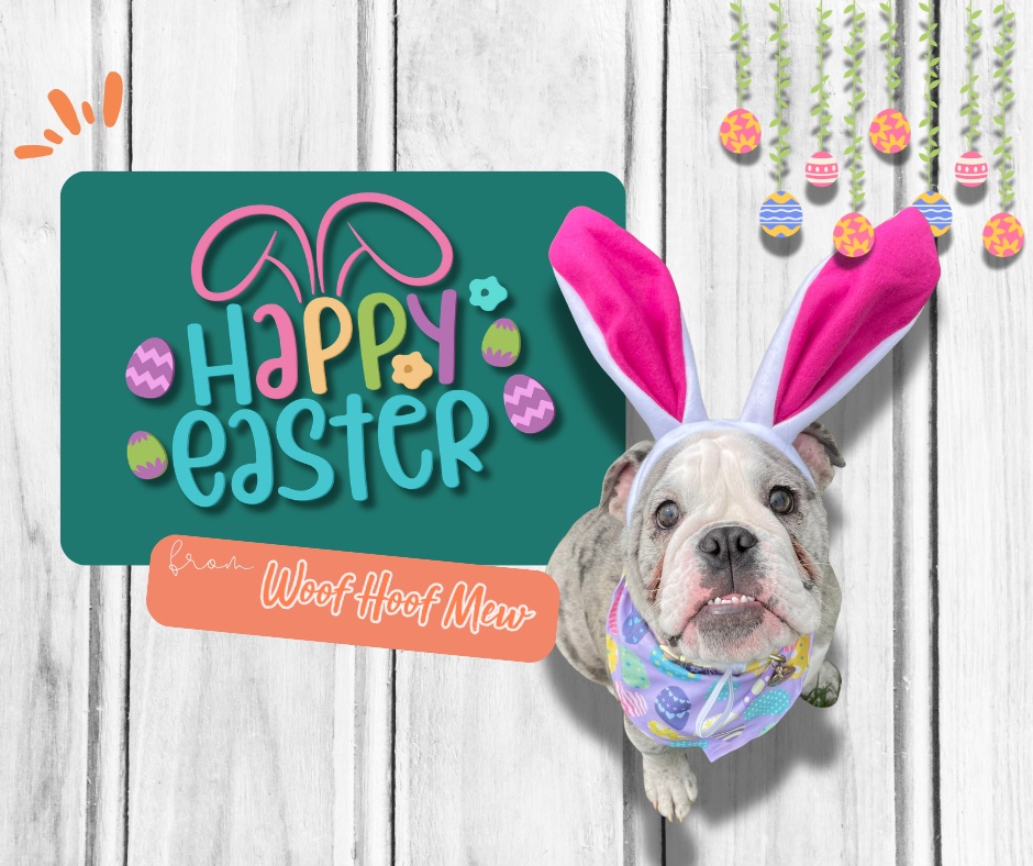 Has everyone donned their bunny ears yet?
Wishing all our favorite neighborhood pets and pawrents a very Happy Easter. ๐ฐ
#HappyEaster #WoofHoofMew #ConiferPets #EvergreenDogs #conifercolorado #morrisoncolorado #evergreencolorado