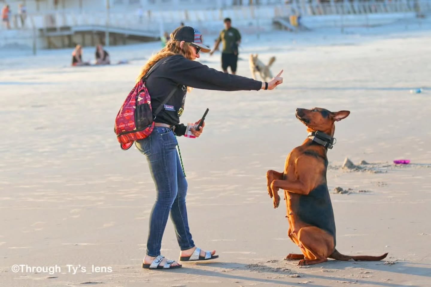 She's got the baby glow 😍
The husky in the background 😂
Another beautiful moment captured by @through_tys_lens
Chinese red dog Laizhou Hong