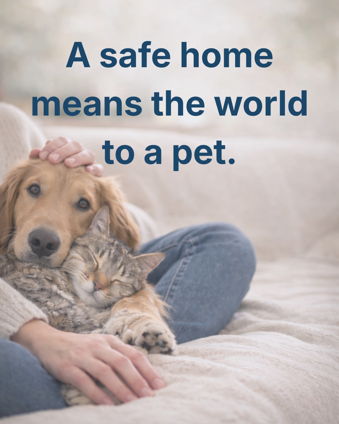 For pets, the best homes are the ones filled with patience, care, and people they can trust.
#princeandpals #dontabandon #lovinghomes #pets #safetyfirst