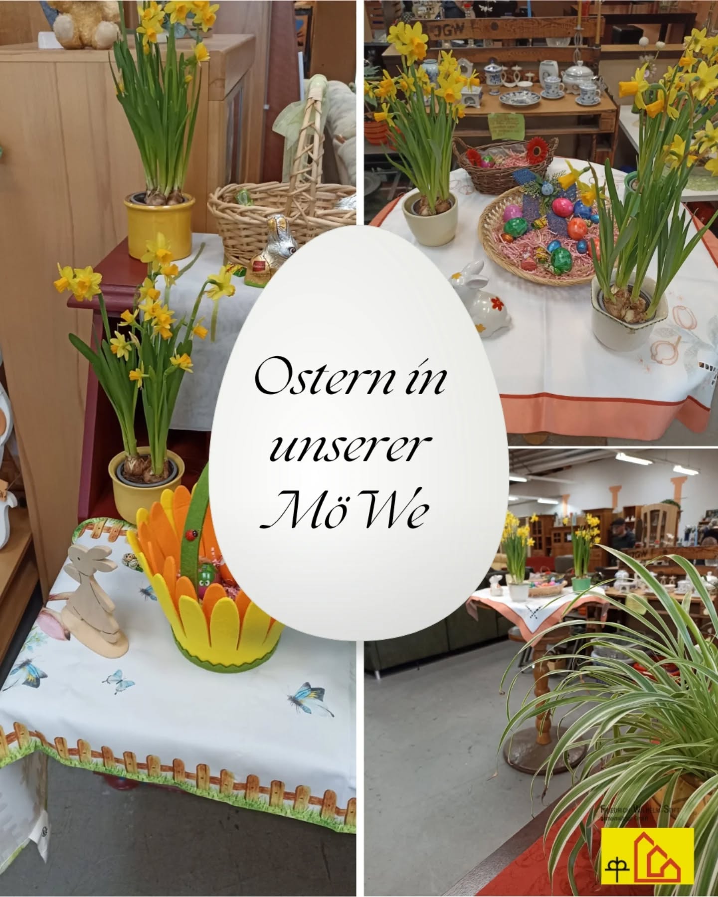Ostern in unserer MöWe🐇🐣. Hier finden sich tolle Ostergeschenke, Osterkörbchen und alles für die Festtafel.
Unsere Öffnungszeiten: Mo-Fr: 08:00 bis 16:00 Uhr, Adresse: Vogtskamp 5a in Hamm Heessen.
#fwshamm #ostern #Soziallaufhaus #jugendberufshilfe