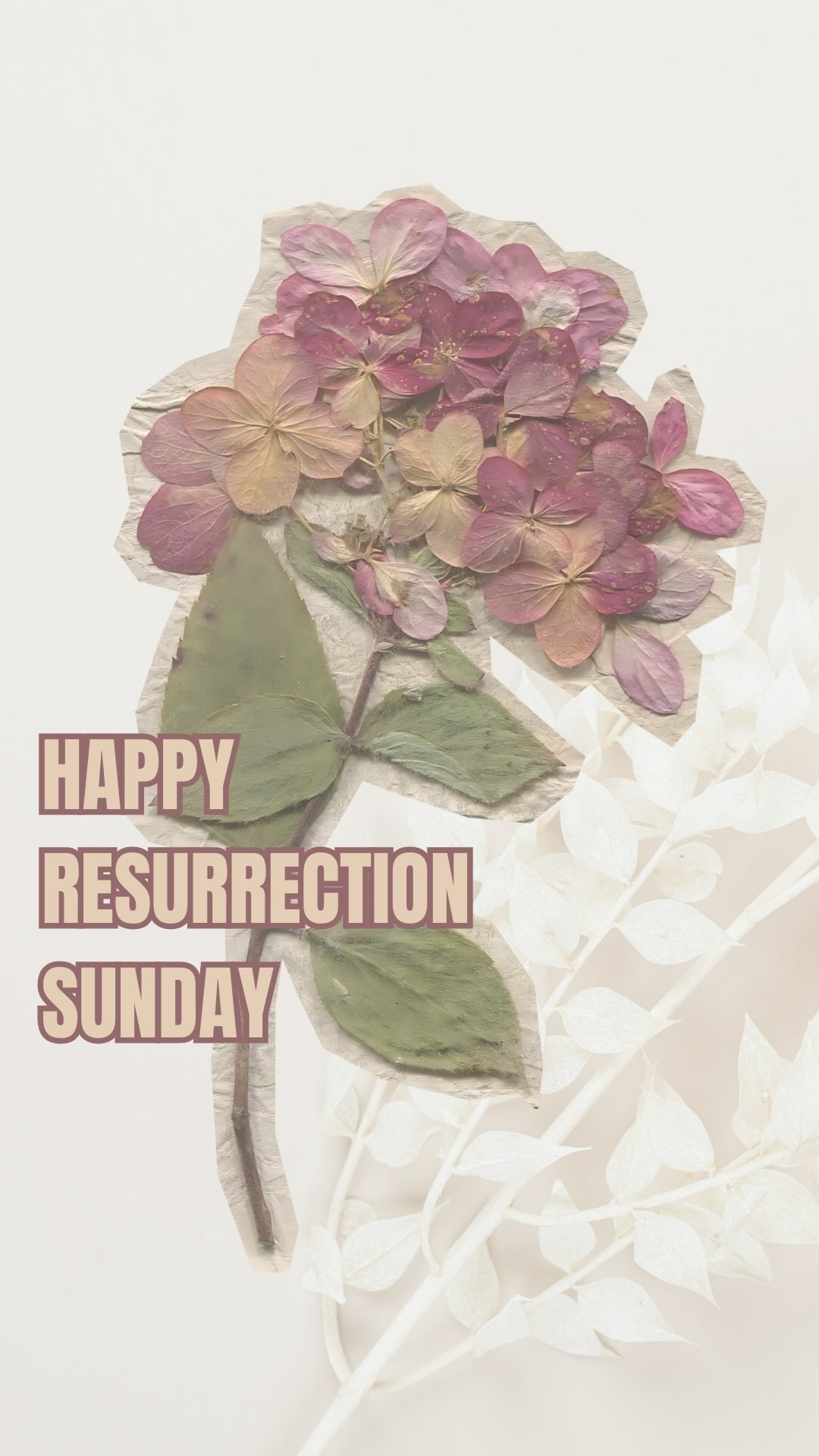 Because He did —-we will too! Happy Resurrection Sunday!