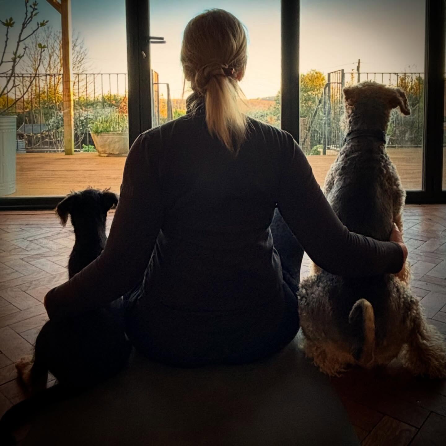 New life and new beginnings
Happy Easter
.
#plymflowyoga #yoga #yogapractice #flowyoga #vinyasa #vinyasaflow #yogaclass #plymstock #plymouth #yealmpton #yealmptoncommunitycentre #brixtondevon #southhams #devon #yogaworkshop #yin #meditation #newpuppy #yogawithmydogs #yogawithmydog