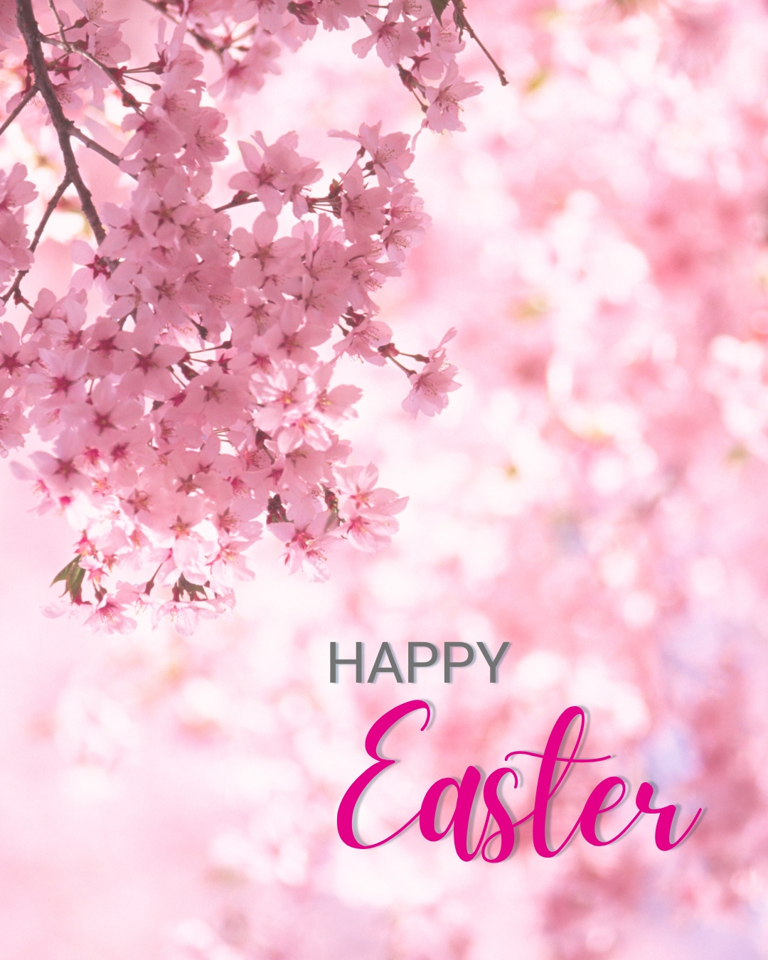 Der Frühling erwacht und Ostern steht vor der Tür! 🌷🐣 Wir wünschen Ihnen wunderbare Feiertage voller schöner Momente.
***
Le printemps s'éveille et Pâques approche à grands pas ! 🌷🐣 Nous vous souhaitons de merveilleuses fêtes, remplies de beaux moments.
#fellerpivotagessa #froheostern #joyeusespaques
