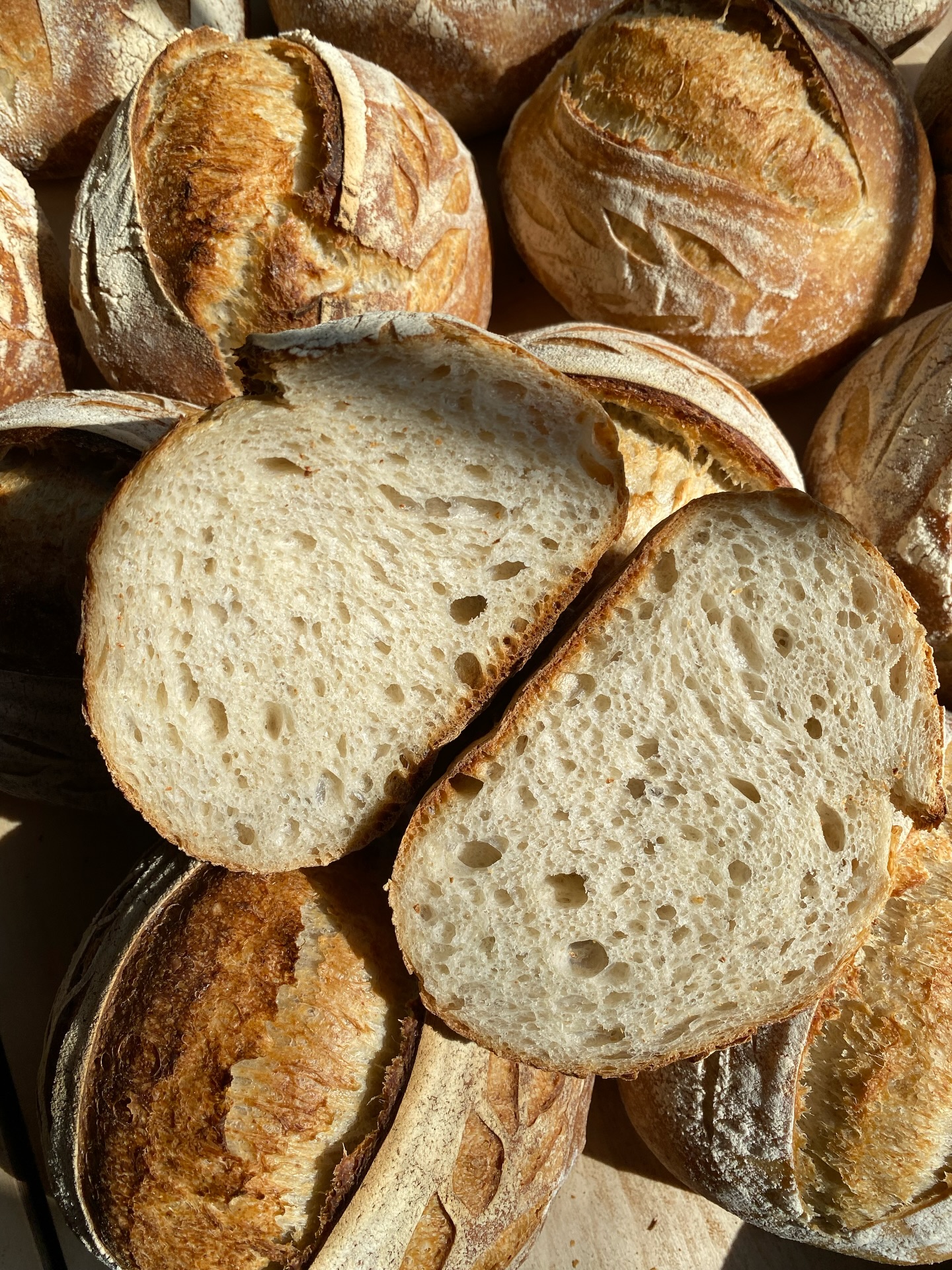 Bake Day beauties.
#plainjanesourdough #sourdough #baking #levain #microbakery
Soli Deo Gloria.