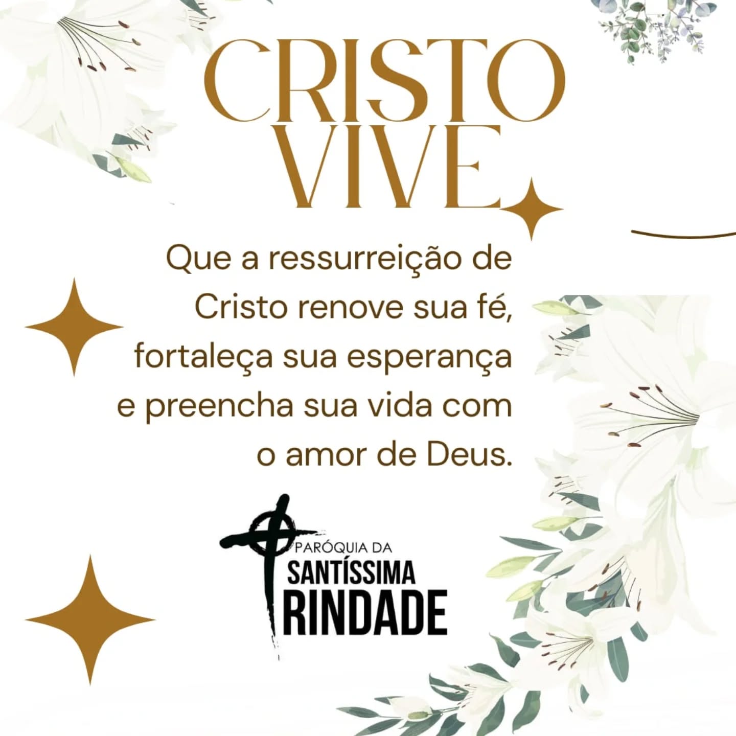 Irmãs e Irmãos, a Ressurreição acontece onde há respeito, amor, empatia e dignidade para que a vida floresça!