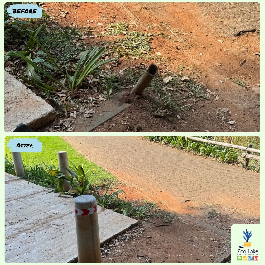 Every little bit helps! 💪
A member of the @tyroneharriers running club and friend of Zoo Lake removed an old remnant fence pole. The group runs in the early morning before the sun rises, which made this a serious safety hazard.
