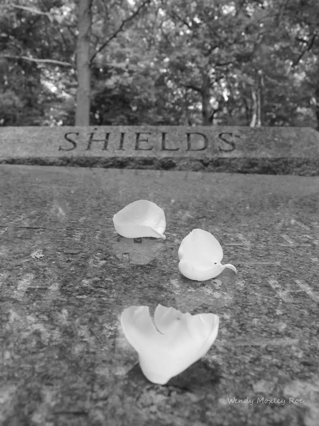 Bachelor's Grove Cemetery, Midlothian, IL
#bachelorsgrove #cemeteryphotography #tombstonetravels #taphophile #cemeteryshots