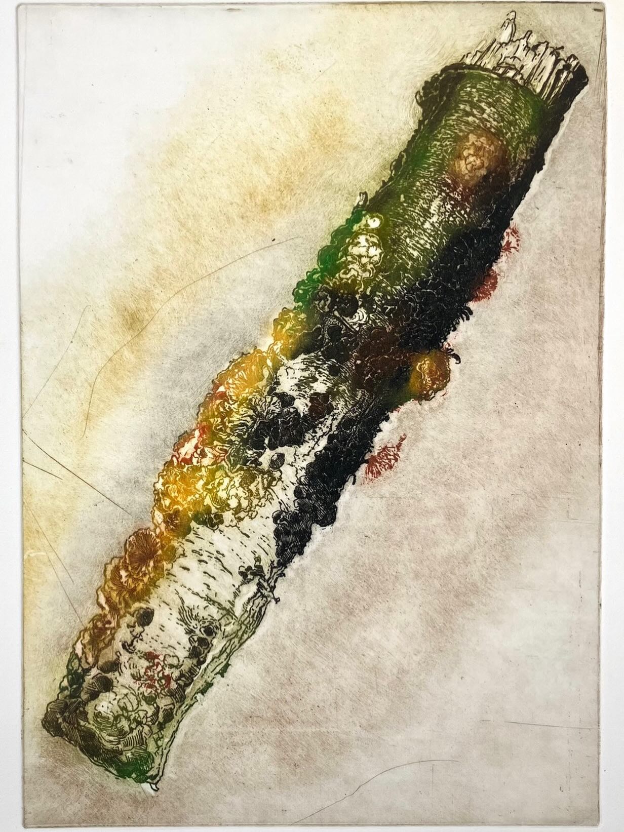 “Stronk”, ets, 2026. #lifedrawing #printmaking #etching #figuredrawing #botanicalprints