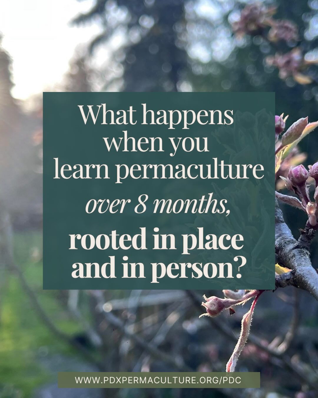 Learning permaculture begins to change how you relate to the world around you—
To land.
To food.
To the systems that support life.
And that kind of understanding takes time.
This course is designed to unfold slowly over 8 months—so you can build a real relationship with a place, not just learn concepts and move on.
You’ll return to the same land each month, alongside a committed community, watching the seasons shift and your understanding deepen.
🌿 April–November 2026
🌿 Jean’s Urban Forest Farm (Portland)
🌿 Guest teachers + organic, fresh-cooked meals
🌿 Permaculture Design Certificate (PDC)
We’re also offering 2 half-tuition DEI scholarships to help make this more accessible.
If this feels like something you’ve been looking for, we’d love to have you!
Applications are open — learn more and apply via the link in bio 🌱
#permaculture #pdc #permaculturedesigncourse #pdxpermaculture #permaculturedesigncertificate