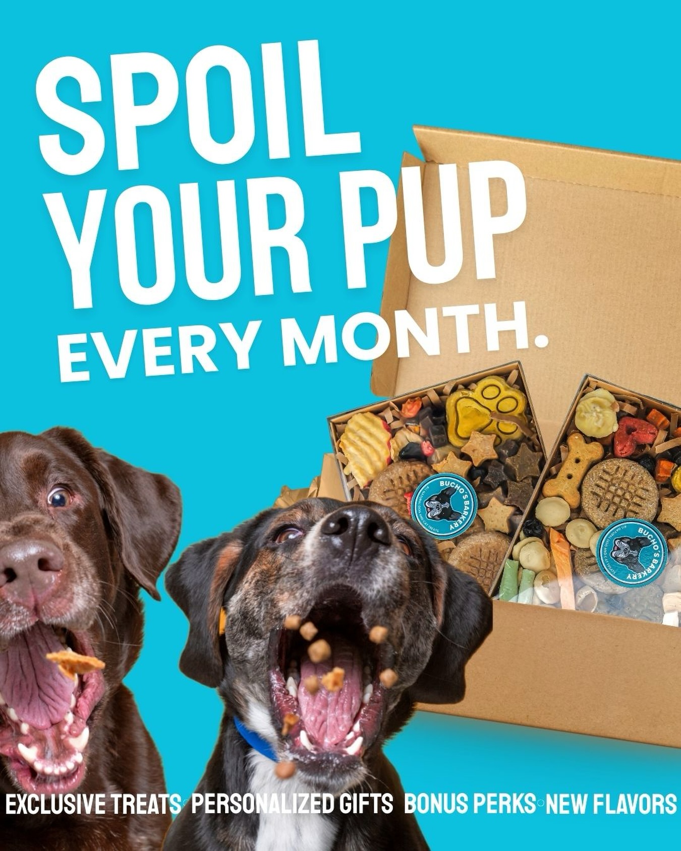 IT’S LAUNCH DAY 🎉🐾
Our subscription boxes are officially LIVE!
Subscribe in April and lock in $37/month…for life! 🙌PLUS save $5 on shipping this month! Pause or cancel anytime.
Monthly treats, wholesome goodies that are packed with purpose delivered right to your door. 🐶📦
Don’t miss your chance to snag the launch deal—your pup will thank you 🦴
Get yours, before they’re gone 👉 buchosbarkery.com/subscription-box
#buchosbarkery #spoileddog #petsubscription #explorepage #dogtreats