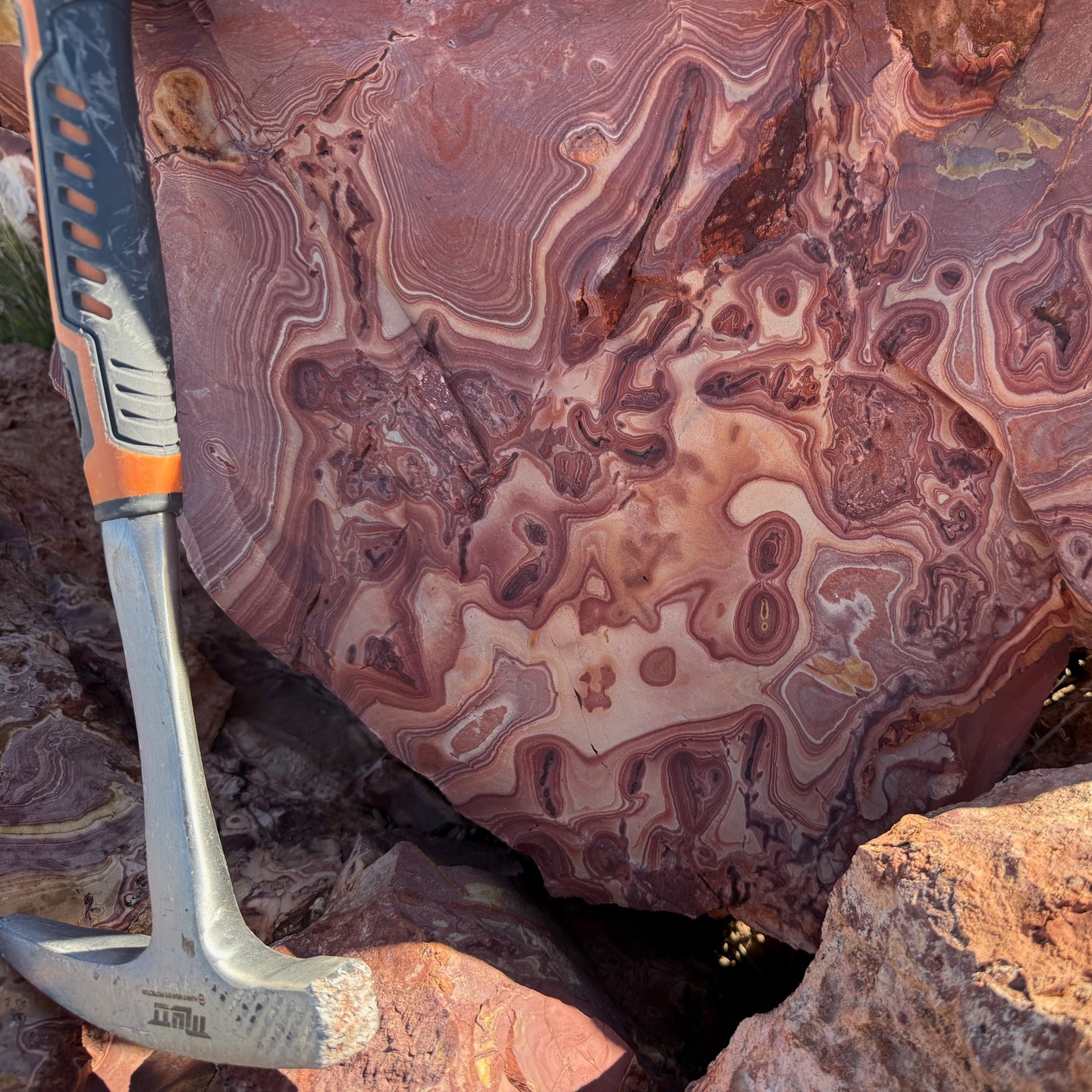Rockhounding in Nevada. Little rocks, big rocks. Seemed pretty mellow and safe until we ran into Mr. Rattlesnake. Then I realized that sticking my hand under boulders to pull out pretty rocks was a really stupid idea!
#explorenevada #rockhounding #rockhoundingnevada #nevadarocks #wonderstone
