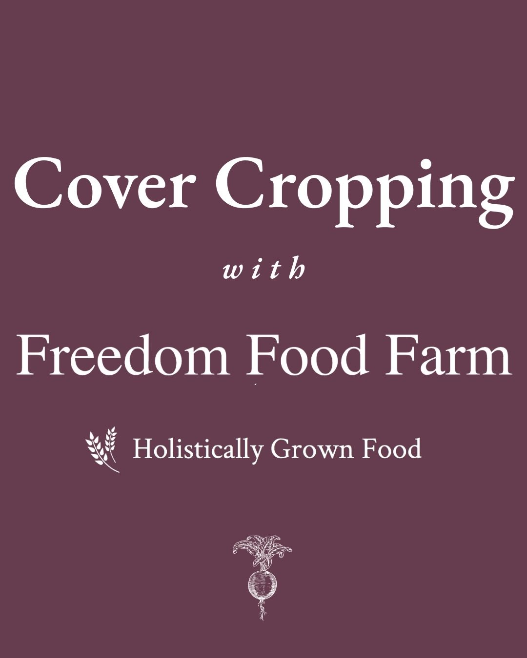 Thank you @freedomfoodfarm for sharing your cover cropping strategy in our recent @the_natural_farmer edition!
We love crowdsourcing this knowledge and have a lot of amazing articles in the works for our next issue!
This next edition is focused on sharing the stories, skills, and experiences from incredible women across farming and food.
Do you know someone sowing seeds and making change? We’d love to feature them!
Submissions are open until May 1st. Details in our website at thenaturalfarmer.org 🌻
.
.
.
#covercropping #farming #organicfarming #regenerativeagriculture #NOFA