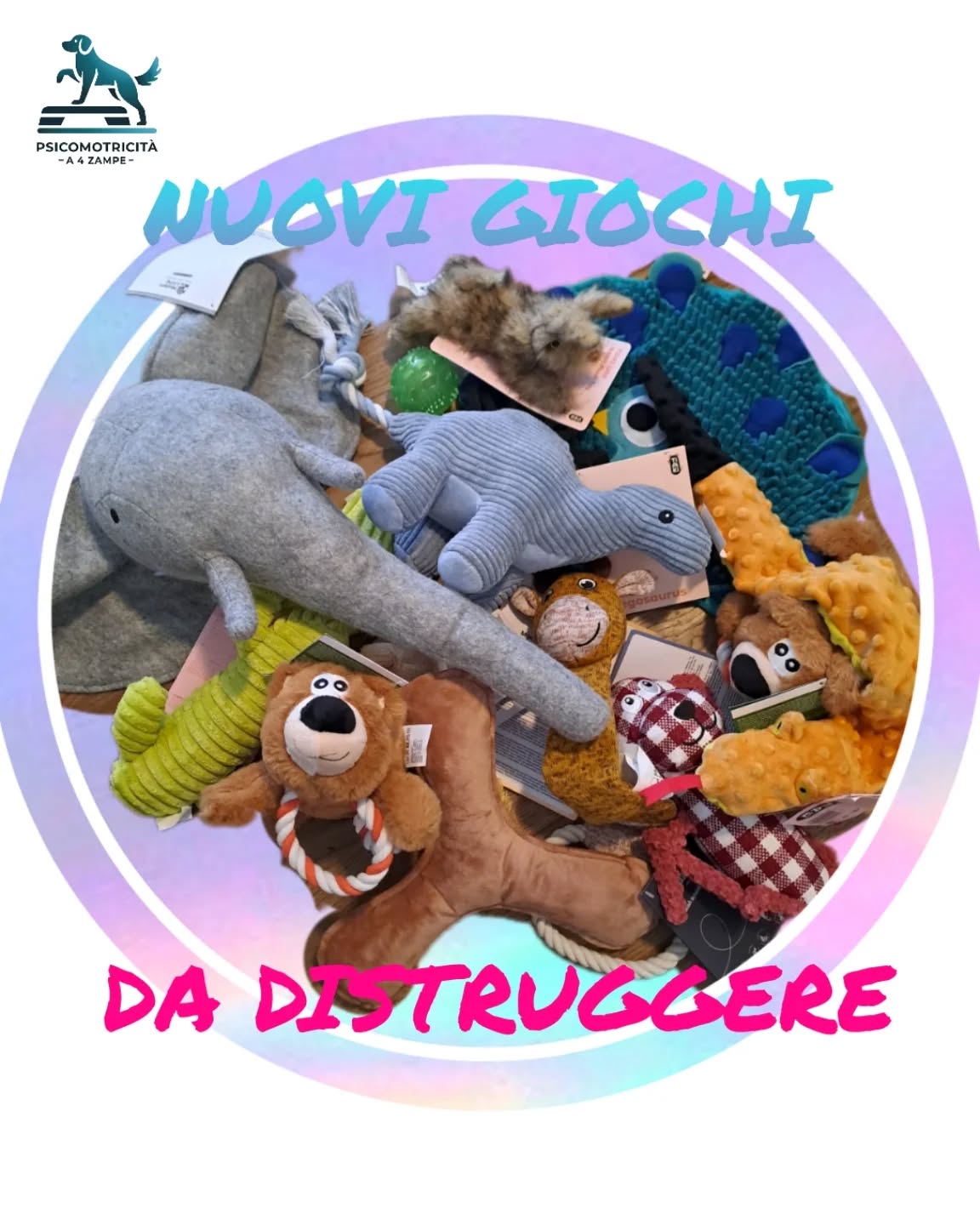 Finalmente sono arrivati i NUOVI giochi 🎉🐾
E sì… come sempre, anche questi verranno distrutti 😈
Peluche pronti a essere shakerati, strattonati e fatti a pezzi senza sensi di colpa!
Perché anche questo è gioco, sfogo e divertimento vero.
Non vedo l’ora di vedere i vostri 4 zampe scatenarsi… chi sarà il più veloce a far volare l’imbottitura? 😏
#Psicomotricitàa4zampe #attivitàpercani #canirimini #cuccioli #educazionecinofila