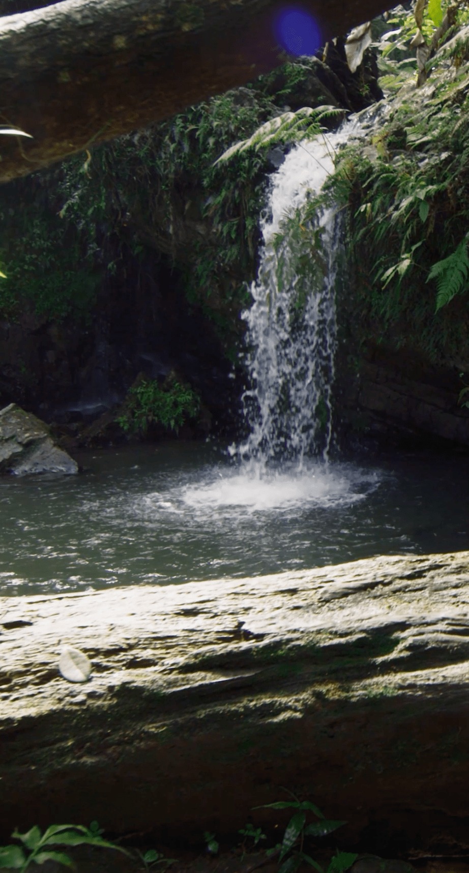 Dreaming of Puerto Rico? 🇵🇷
Across the island’s thrumming placitas, criolla kitchens, and Atlantic beaches, the Boricua spirit comes to life. ☀️🌊
Read more on how to experience Puerto Rico, then reach out to start planning your next vacation. ⬇️
(647) 576-7110
info@wayyzatravel.com
#VirtuosoTravel
#bookwithwayyza #thewayyzaway