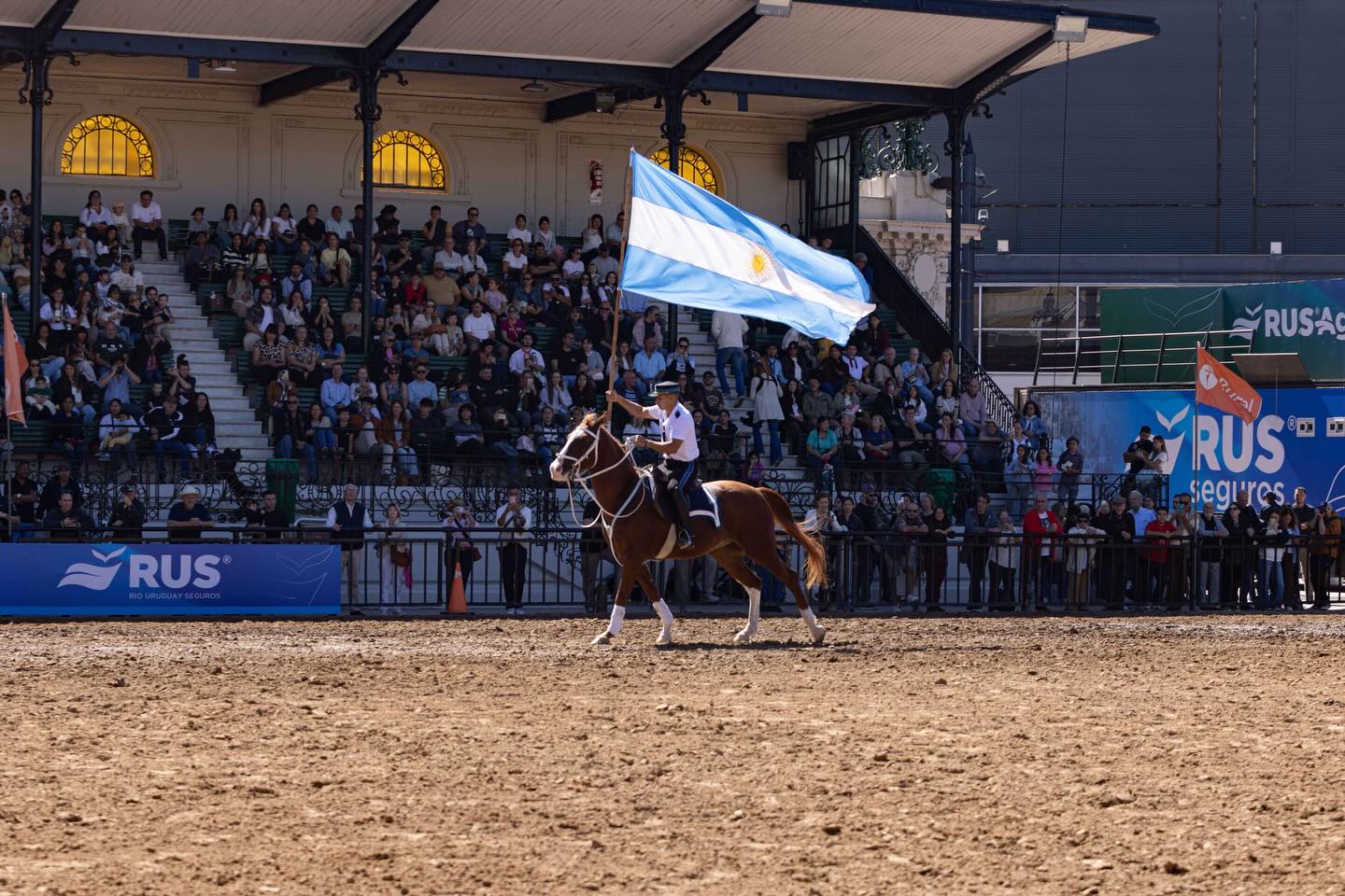 Palermo se viste de tradición: comenzó la 23 edición de “Nuestros Caballos”
Hasta el 29 de marzo, La Rural recibe a los máximos exponentes del mundo ecuestre en una cita imperdible para la industria, aficionados y familia.
La exposición celebra su edición número 23, consolidándose como el epicentro de las razas nacionales. Con la presencia de las cabañas más importantes del país, el evento ofrece una vidriera única que combina genética, negocios y tradiciones en los pabellones azul, verde y la mítica pista central.
Lo que hay que saber:
Horario: hasta el 29 de marzo de 10 a 20hs en el Predio Ferial de Palermo.
Valor de las entradas: $13.000 (se adquieren por www.laruralticket.com.ar)
Atracciones: diez razas en exposición (Criolla, Cuarto de Milla, Petiso, Silla Argentino, Árabe, Peruano de Paso, Appaloosa, entre otras), stands de nutrición animal, talabarterías, y un patio gastronómico para toda la familia.
Imperdibles para hoy:
13:00hs : Presentación del Regimiento de Artillería (en el playón del mástil)
16:00hs: Prueba funcional de Petiso Argentino
16:30hs: Jura morfológica de Cuarto de Milla
19:00hs: Tropilla de Petisos
