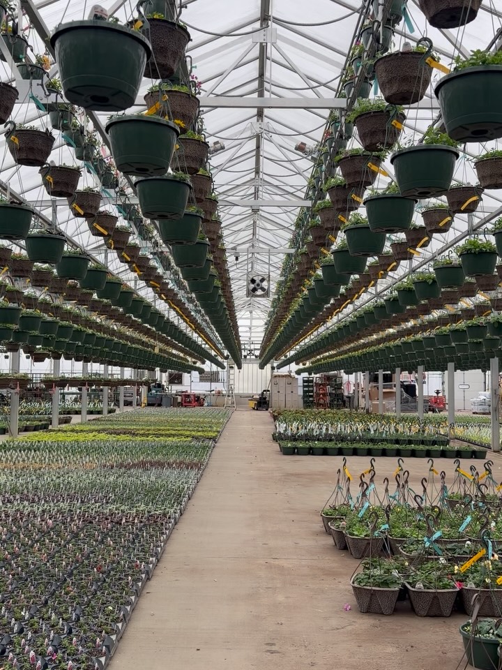 We’ve got growing season on the brain at the Minneapolis Farmers Market… 💭 🌱
If you’re dreaming of hanging baskets and starter plants, maybe this peek behind the scenes of spring’s beginnings at market vendor Riverside Farms’ greenhouse will help it all feel closer for you, too! We’re not quite into plant territory at this weekend’s market, but we’re well on our way there.