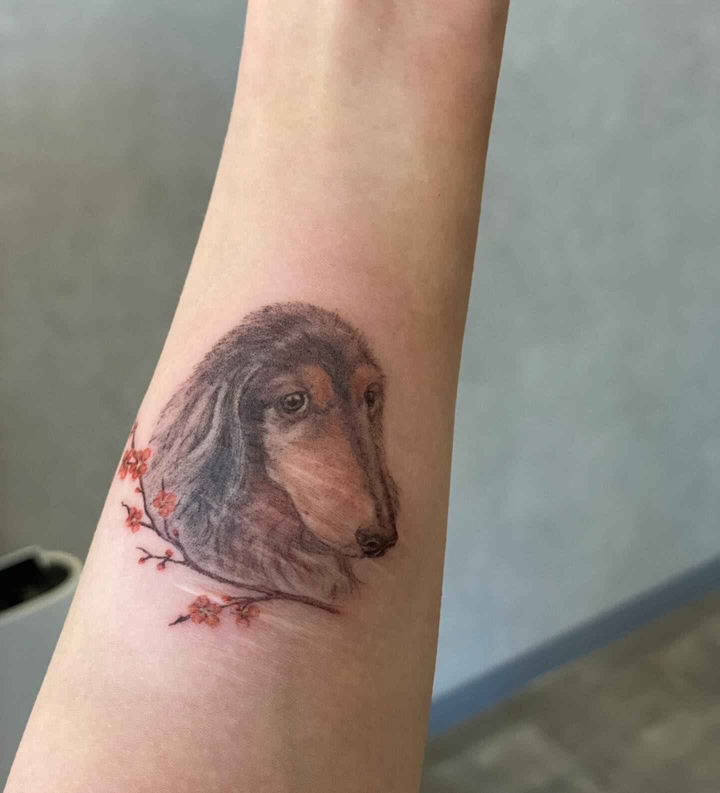 ありがとうございました🐶🐶🐶
LINEでご予約がとれるようになりました。
トークでお問合せの際は
▶︎お名前
▶︎サイズ(おおまかでoK)
▶︎デザインのイメージ(ざっくりでも大丈夫)
▶︎施術箇所(最終は当日肌にあて決定)
▶︎カラーor ブラックのみ
▶︎ご希望日
上記内容をご記載のうえご連絡いただけますとスムーズな対応ができると思います。よろしくお願いします。
従来通りホームページのお問合せフォームからもご予約承っておりますが
最近、ホームページのお問合せフォームの不具合が続き、受信送信がうまくできない時があります。
可能な限りLineからお問合せお願いいたします。
よろしくお願いします。
#横浜タトゥー #タトゥー予約 #犬タトゥー #ペットタトゥー #ダックスフンド