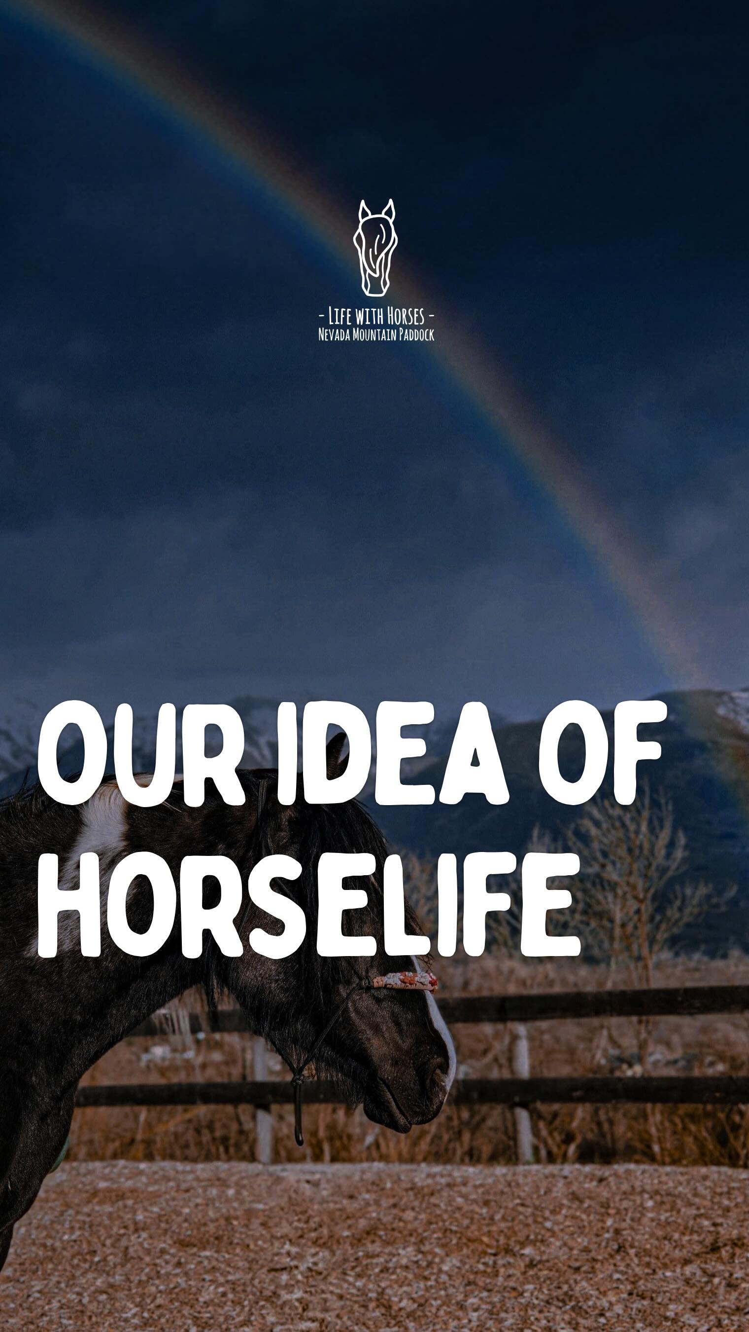 Depuis les prémisses de notre projet, le bien-être du cheval est l’élément central de notre cahier des charges.
De l’espace, des congénères, de la nourriture à volonté… c’est le minimum que nous devions leur offrir.
Mais quand on voit ces interactions, on se dit qu’on est sur la bonne voie… et ça, c’est vraiment gratifiant.
Évidemment, on est encore loin de notre idéal.
Mais comme tout objectif dans la vie, il faut savoir apprécier le chemin 🙏
🇦🇩 Des dels inicis del nostre projecte, el benestar del cavall ha estat al centre de tot el que fem.
Espai, companys, aliment disponible en tot moment… és el mínim que els devem.
Però quan veiem aquestes interaccions, sentim que anem pel bon camí… i això és realment gratificant.
Evidentment, encara estem lluny del nostre ideal.
Però com qualsevol objectiu a la vida, és important saber gaudir del camí 🙏
🇬🇧 Since the early days of our project, the horse’s well-being has been at the core of everything we do.
Space, companions, food available at all times… that’s the minimum we owe them.
But when we see these interactions, we can tell we’re on the right path… and that feels truly rewarding.
Of course, we’re still far from our ideal.
But like any goal in life, it’s important to appreciate the journey 🙏
🇪🇸 Desde los inicios de nuestro proyecto, el bienestar del caballo ha sido el eje central de todo lo que hacemos.
Espacio, compañeros, comida disponible en todo momento… es lo mínimo que les debemos.
Pero cuando vemos estas interacciones, sentimos que vamos por el buen camino… y eso es realmente gratificante.
Por supuesto, aún estamos lejos de nuestro ideal.
Pero como cualquier objetivo en la vida, es importante saber disfrutar del camino 🙏
#bienetreequin #ridewithconnection #horselife #ethologieequine #friendship