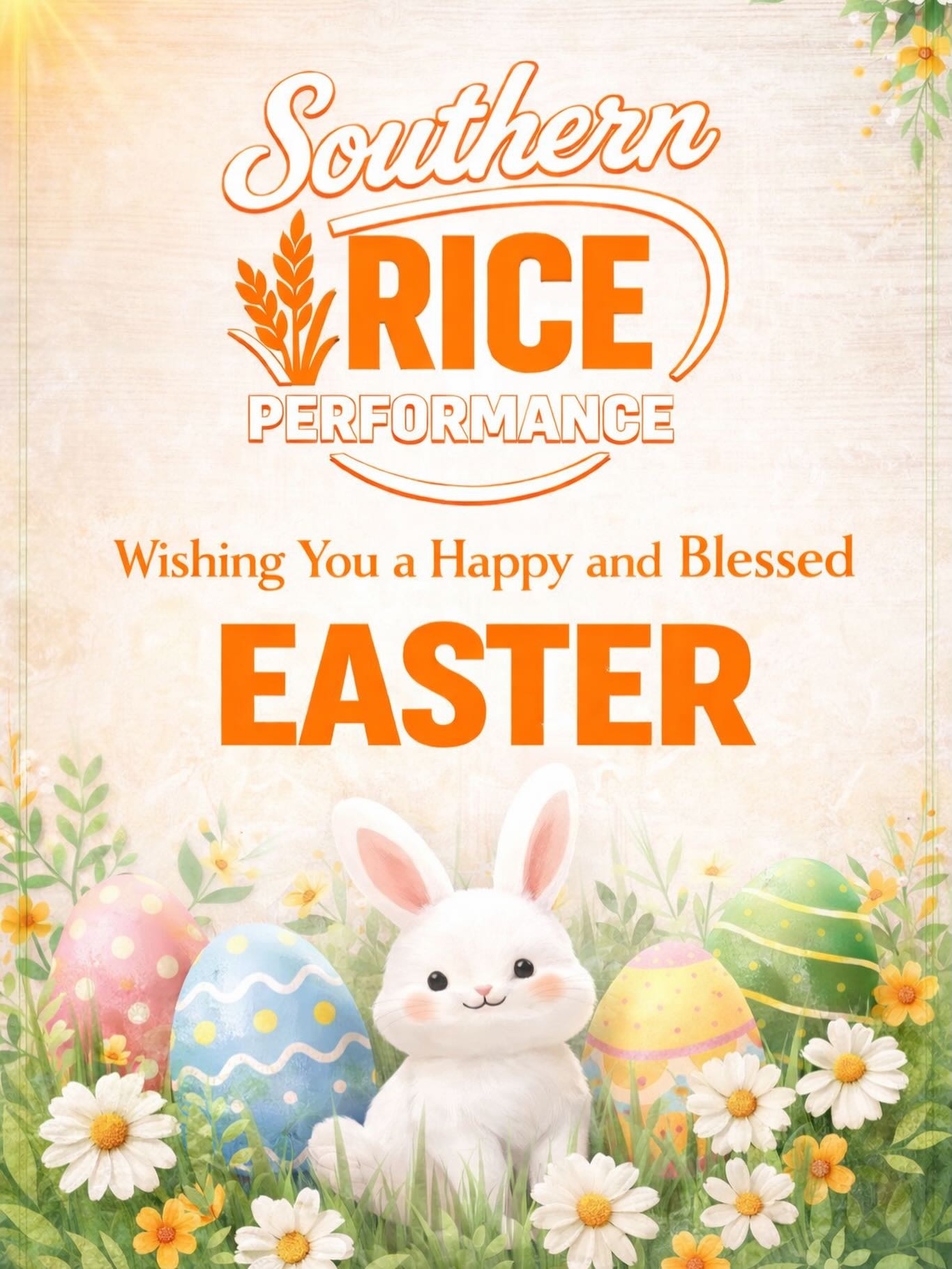 Wishing you a Happy & Blessed Easter 🙏 Grateful for each of you 🧡 #easter #blessed #grateful