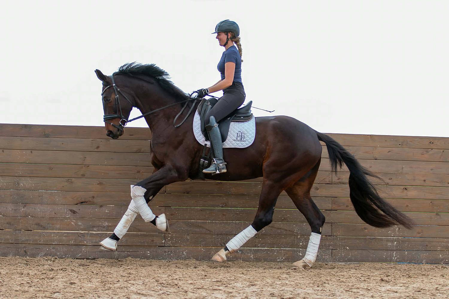 Sarajevo QC (Gørklintgårds Shaolin Shaolin x Londonderry x Wolkentanz x Argentan), thanks to @lindseyholleger for the super foundation and getting this special young horse connected with a wonderful new home. Looking forward to his future!
#quanticosporthorses #equine #horses #horsesofinstagram #breedingwithapurpose #breedingforthefuture #dressage #dressagehorse #gørklintgårdsshaolin #londonderry #germanoldenburgverband #germanoldenburg #oldenburg #oldenburger
