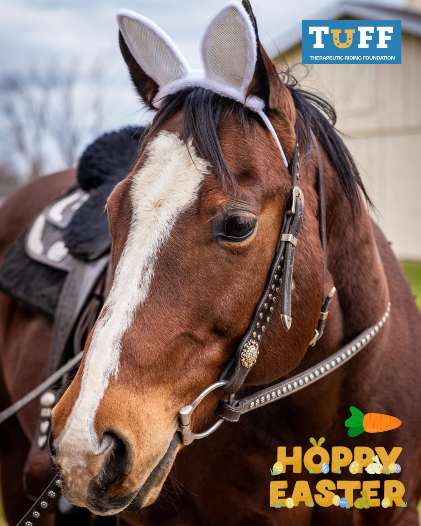 Hoppy Easter 🐣🐰🥕🥕✨
We hope everyone had wonderful weekend with friends and family, ponies included!
#hoppyeaster #tufftherapeuticridingfoundation #tufftherapeuticriding #georgethebunny