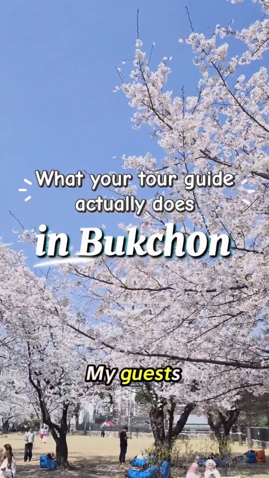 Dear Seoul travelers,
You did the Bukchon Hanok Village walk. You took the photo on that famous alley. You left.
Cute.
Here's what I actually do in Bukchon as a local Seoul private tour guide — the version that never shows up on a travel blog.
① Jeongdok Library — a former school turned public library, and one of the best free spots in Seoul. Cherry blossom season here is quietly stunning. Add it to your Seoul spring itinerary.
② Hanji Gaheon — traditional Korean paper craft experience in Bukchon. Free entry, reservation required. Make a hanji bookmark or book cover. One of the most underrated cultural activities in Seoul for travelers who want something beyond palaces and markets.
③ Zero Space + ④ Object Samcheong — two small independent shops in Samcheong-dong. Hangul keychains, Seoul-made souvenirs, things you didn't know you needed. Best alternative souvenirs in Korea, honestly.
⑤ EOE Cafe — traditional tea house in Bukchon. Slow, quiet, no rush. The kind of Seoul cafe experience that actually feels Korean.
⑥ Motongie - soft rice tteokbokki and fried sides. Best tteokbokki near Bukchon. Location's on the map. The order is mine.
This is the Bukchon itinerary your travel guide left out.
You're welcome.
— LWK, your Seoul guide 🙂
.